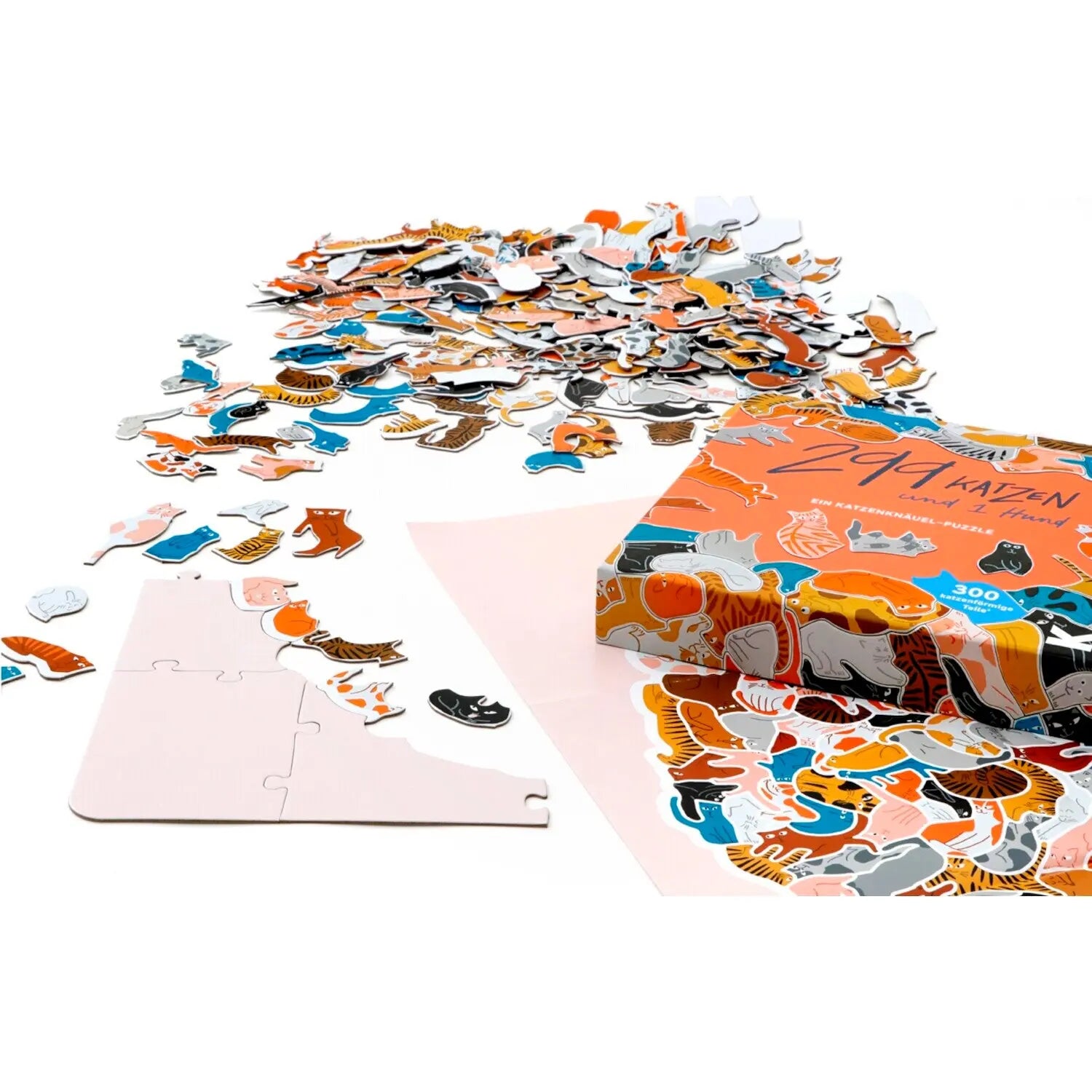 299 Katzen (und 1 Hund)