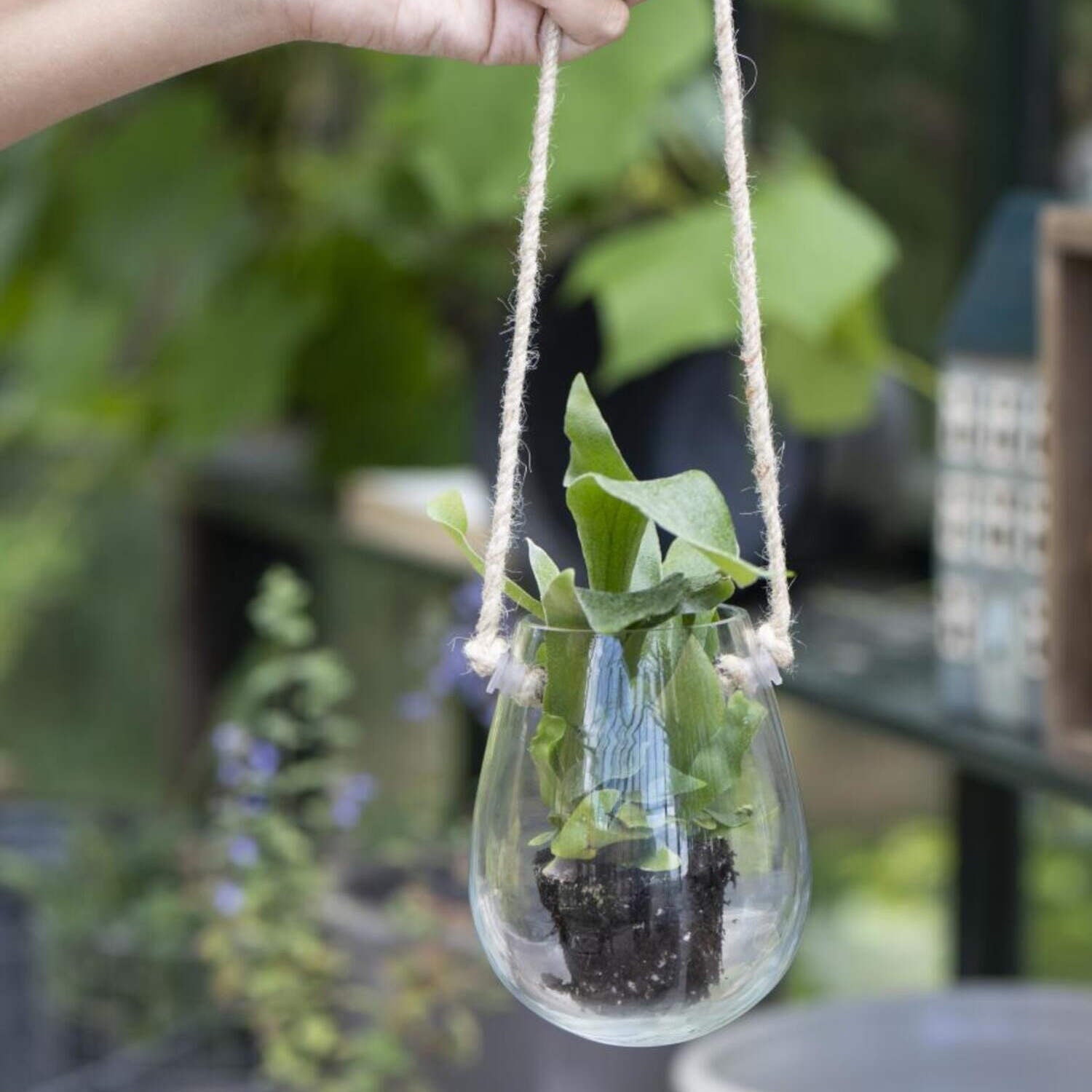 Glas zum Hängen - 10x12 cm Ib Laursen