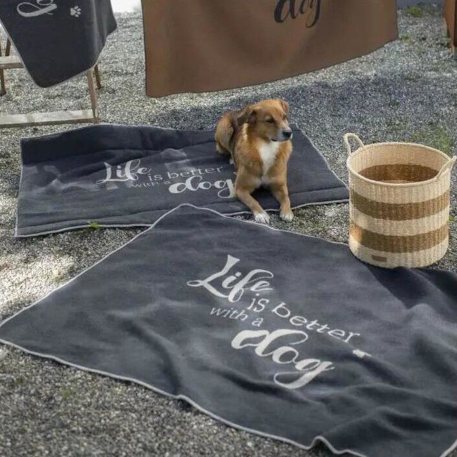 Hundematte "Life is better..." - 120x80 cm (Anthrazit)