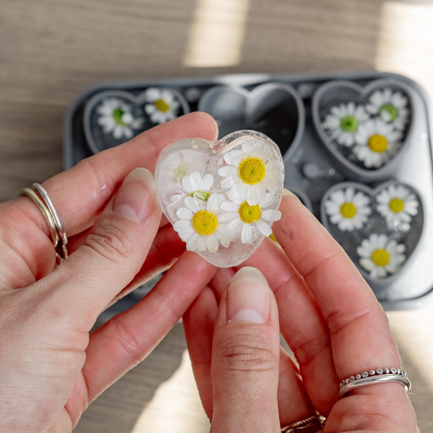 Eiswürfelform "Herzen" (Grau) Eulenschnitt