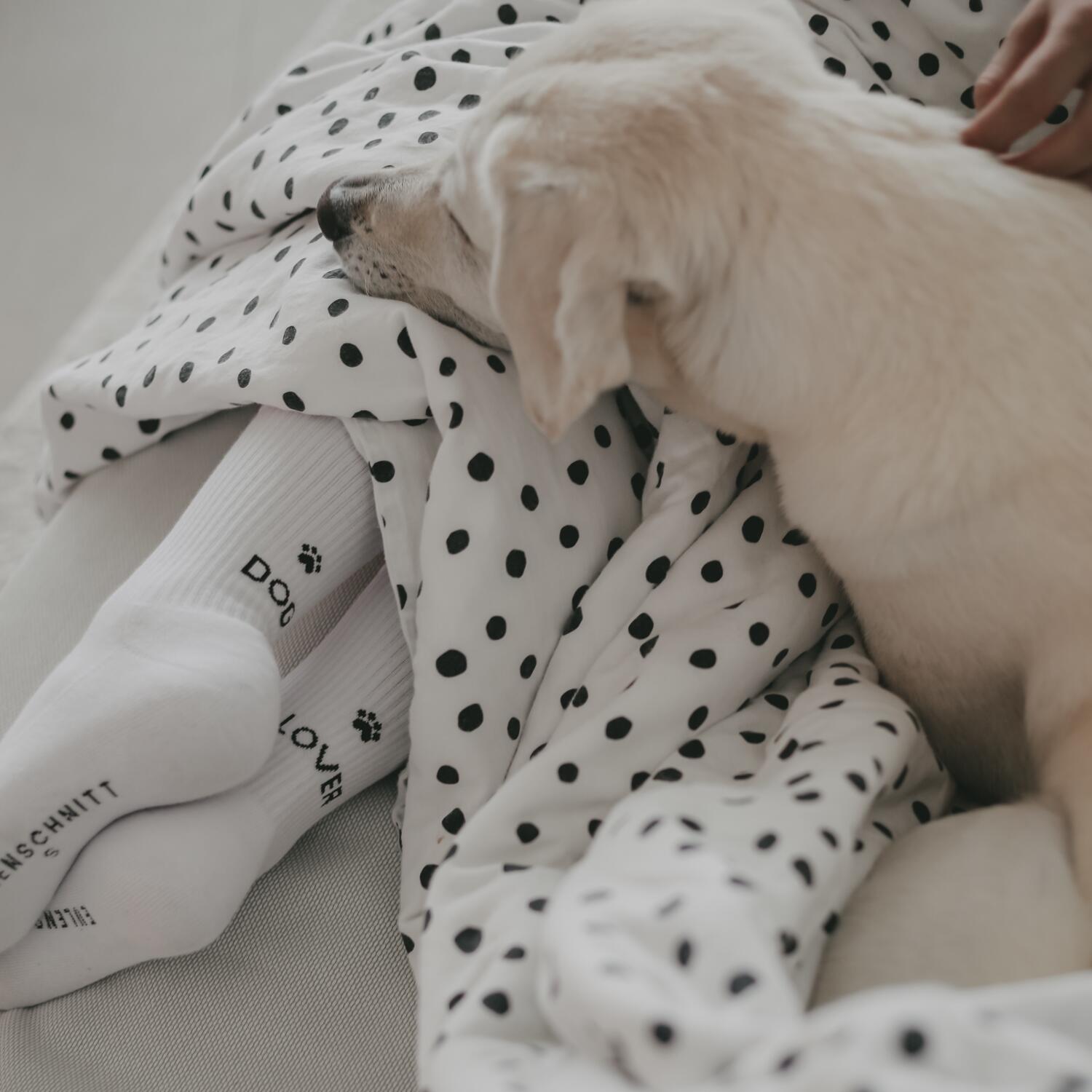 Socken "Dog Lover" (Weiß) Eulenschnitt