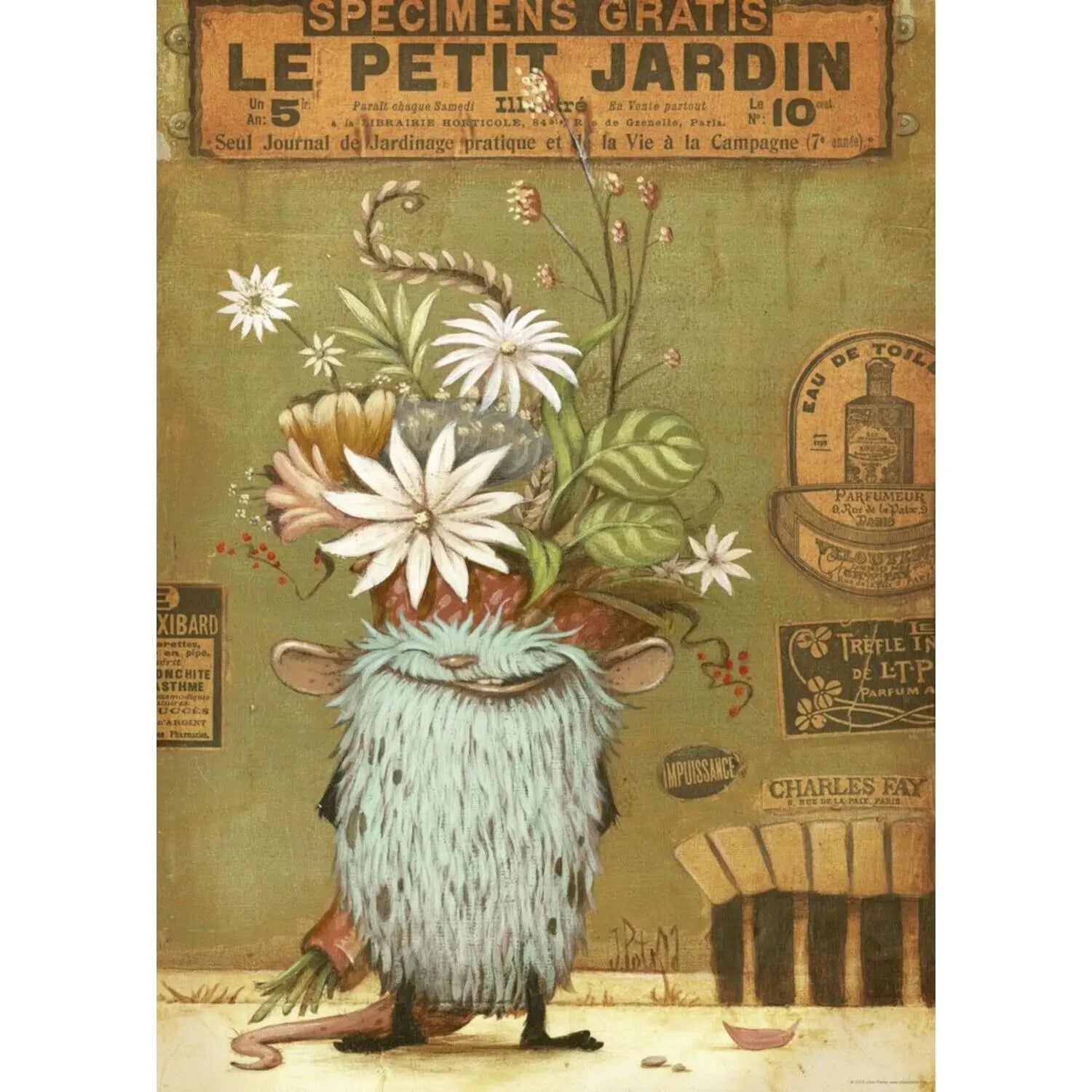 Suprise! / Zozoville