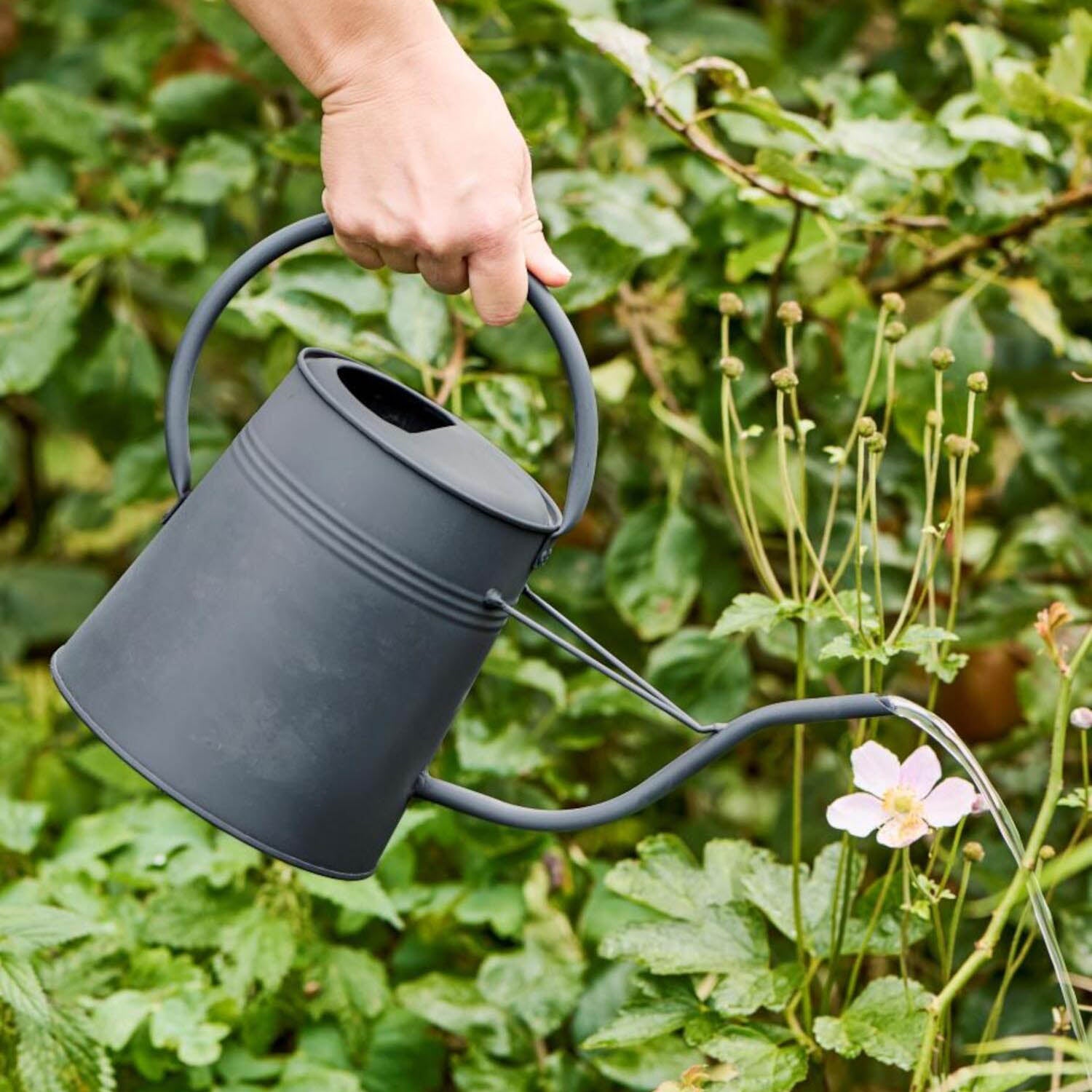 Gießkanne - 2,3 l (Mattschwarz) Ib Laursen