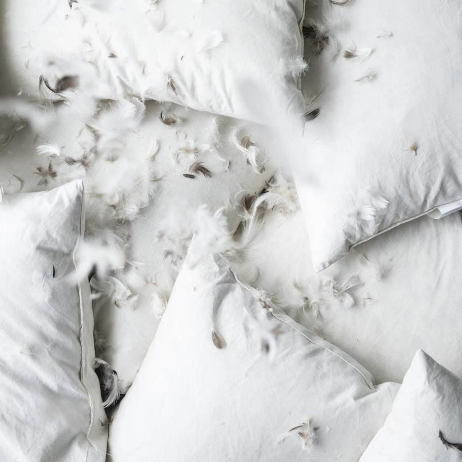 Kissen-Inlett - 50x50 (Creme) Ib Laursen