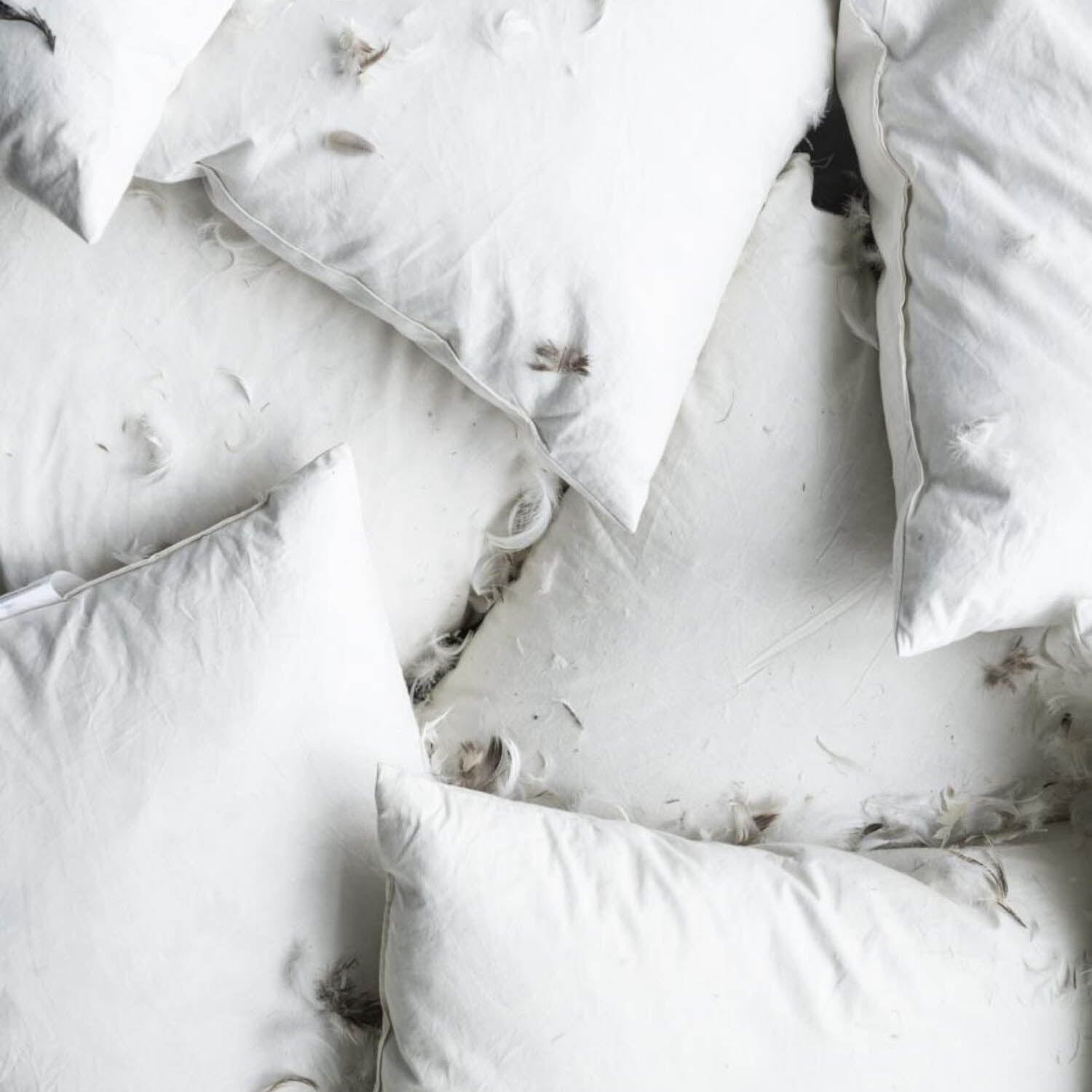 Kissen-Inlett - 50x50 (Creme) Ib Laursen