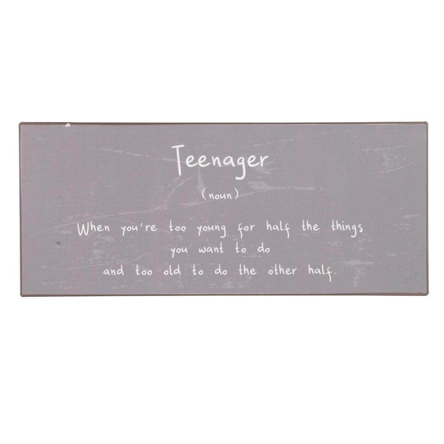 Metallschild "Teenager" - 20x14 cm Ib Laursen