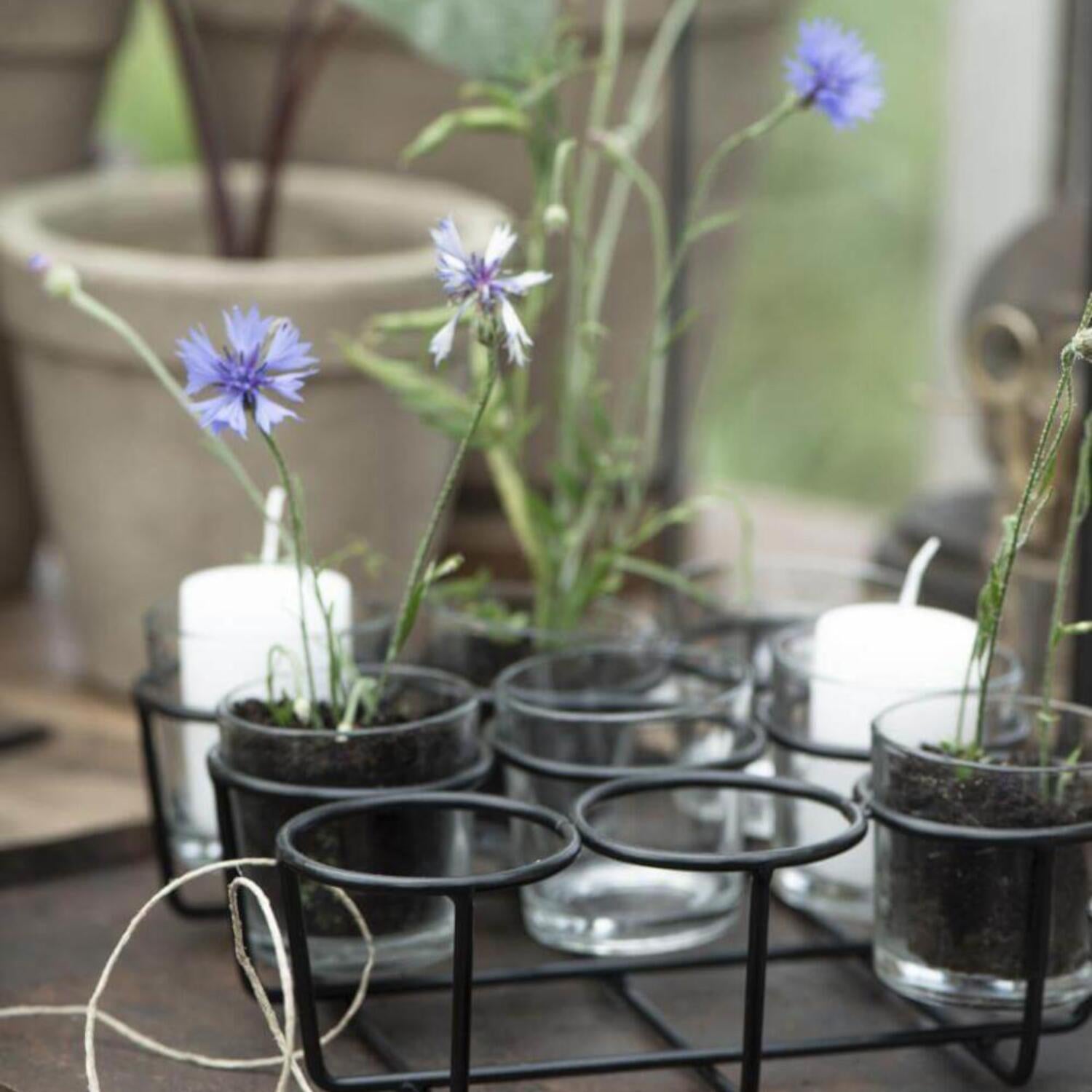 Glas-Teelichthalter mit 9 Gläsern Ib Laursen