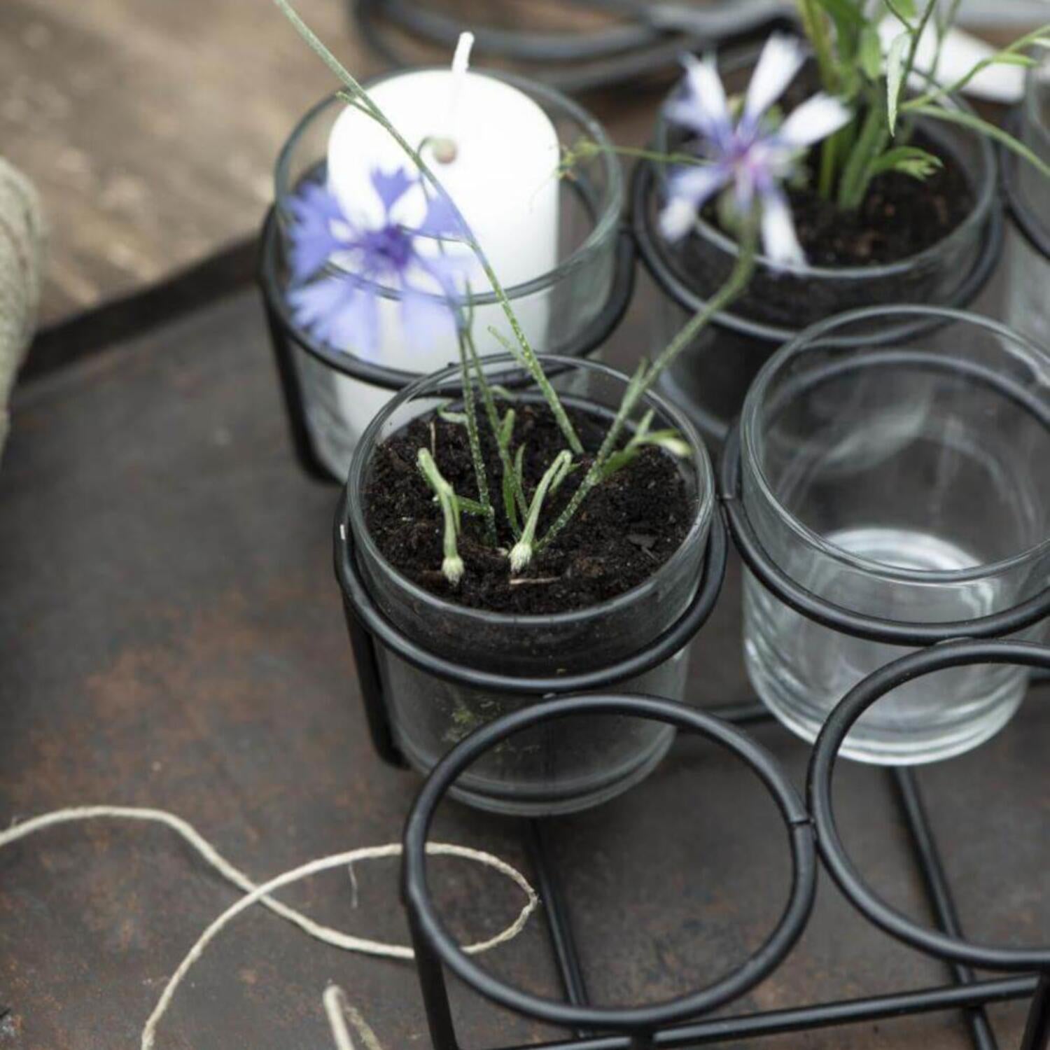 Glas-Teelichthalter mit 9 Gläsern Ib Laursen