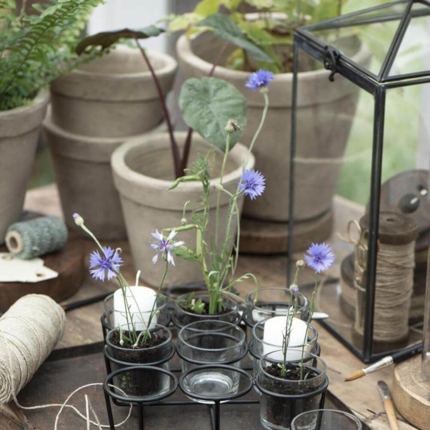 Glas-Teelichthalter mit 9 Gläsern Ib Laursen