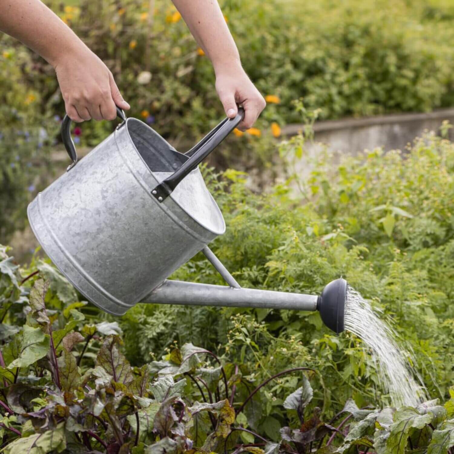 Gießkanne mit Brause - 9 l (Grau/Schwarz) Ib Laursen