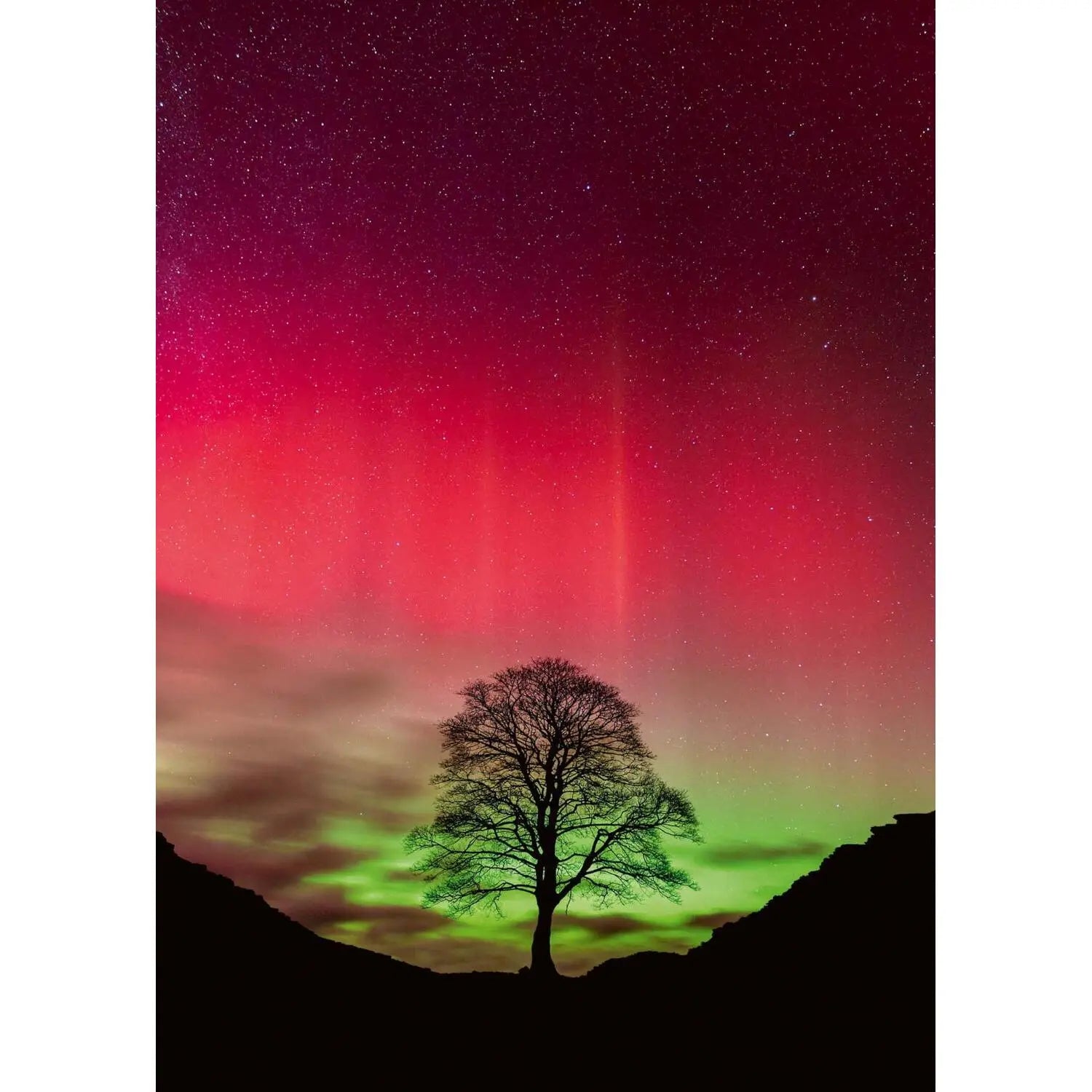 Sycamore Gap