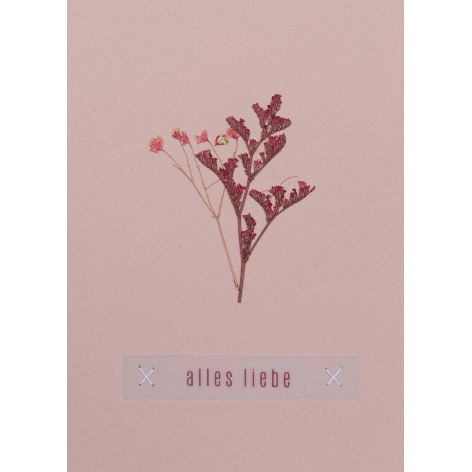 Glückwunschkarte mit echter Blume "Blumengruß - Alles Liebe" räder Design