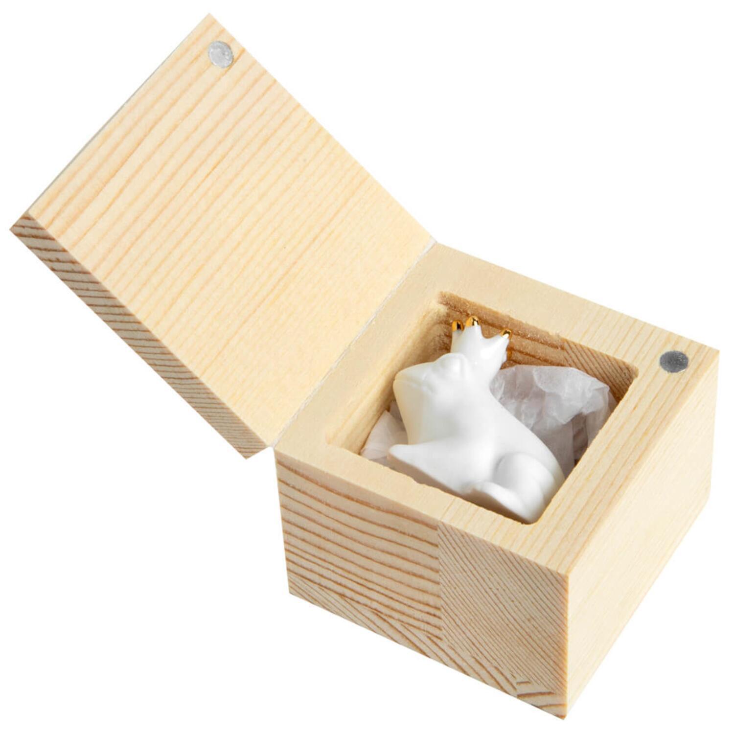 Glückskästchen "Frosch" (Weiß) räder Design