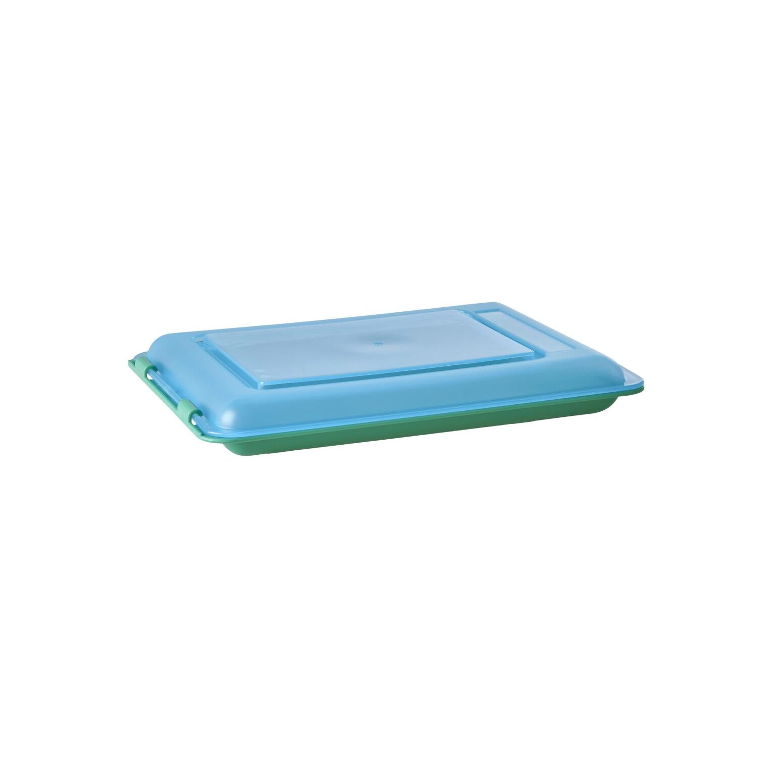 Aufbewahrungsdose - 470 ml (Grün/Blau) Rice