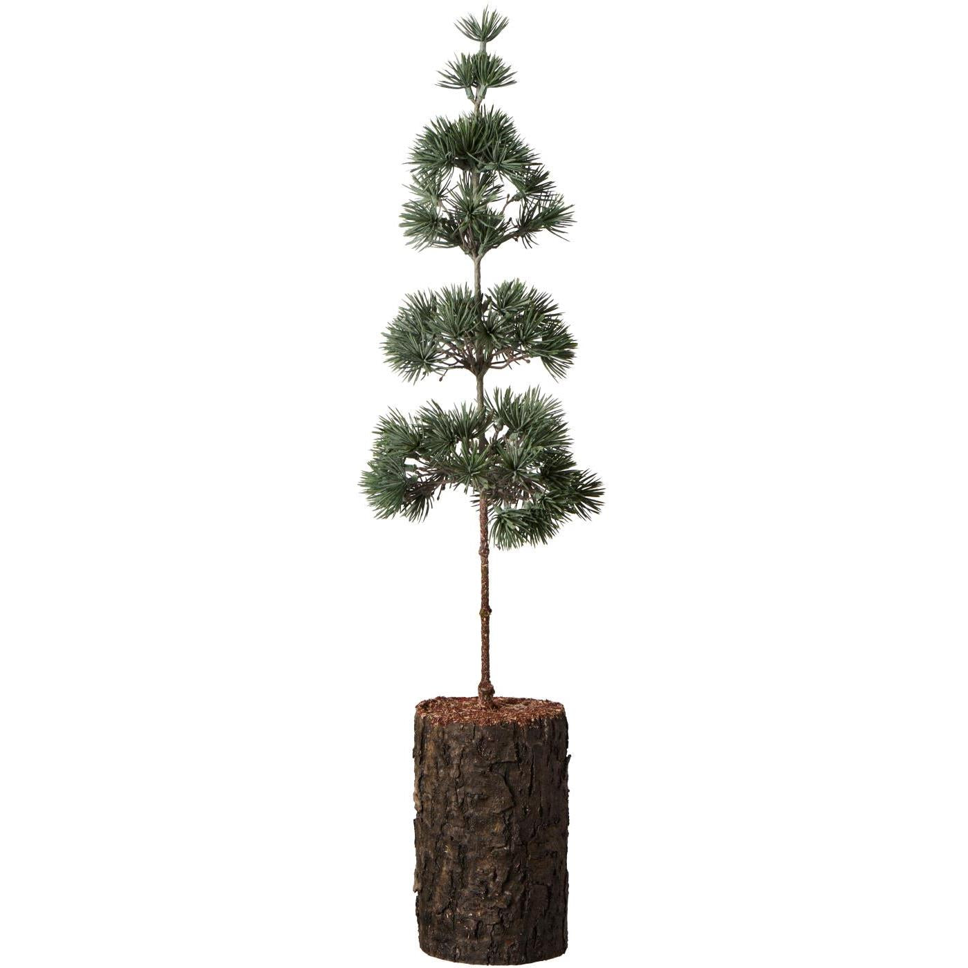 Künstlicher Zedernbaum mit Rindenfuß - 10x60 cm (Grün)