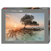 Red Mangrove