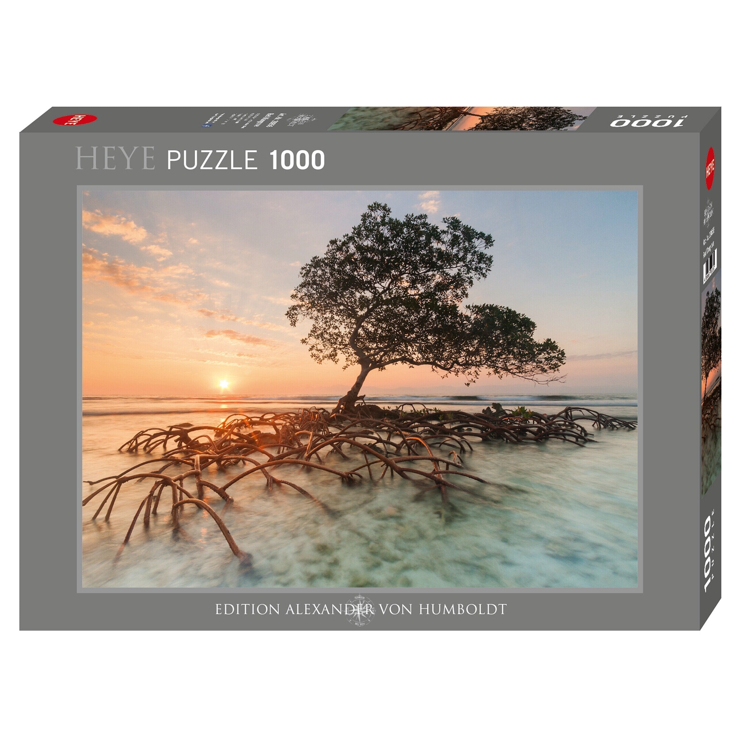Red Mangrove