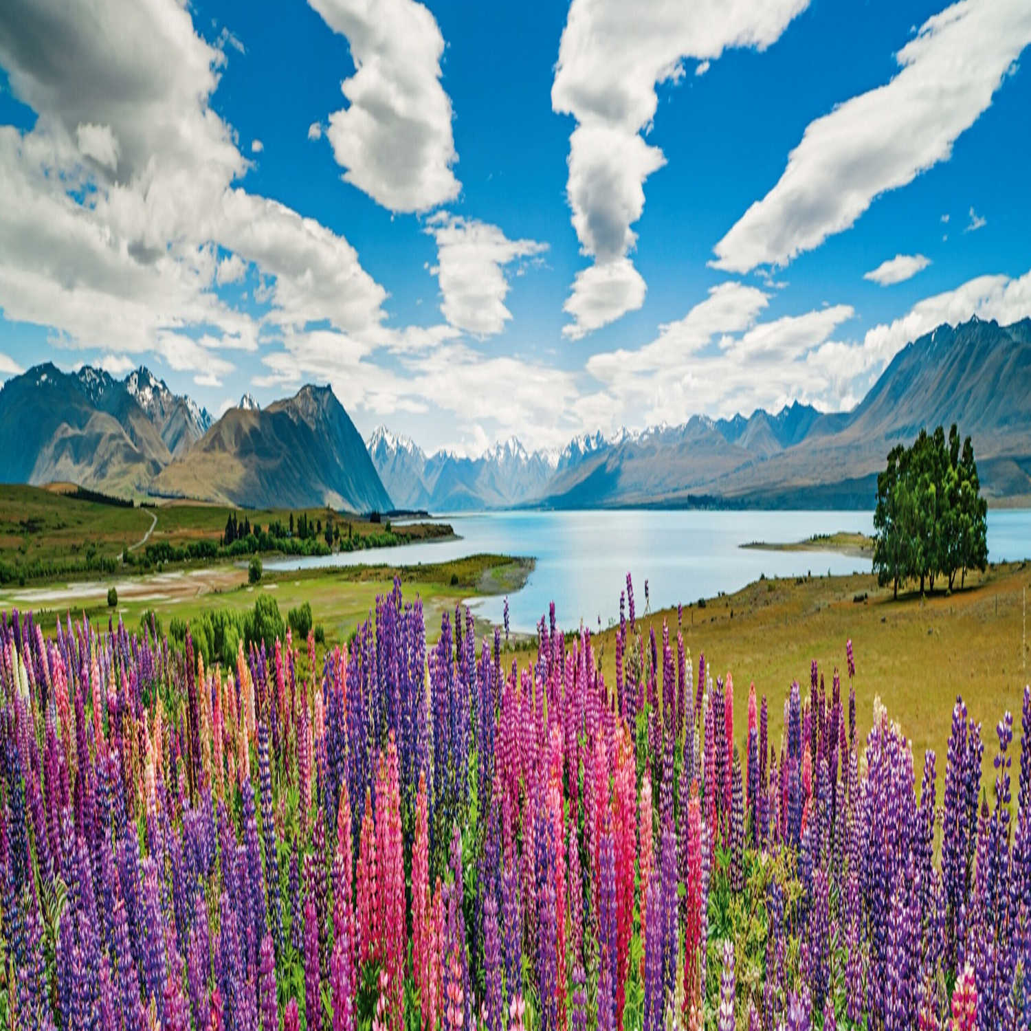 Lake Tekapo