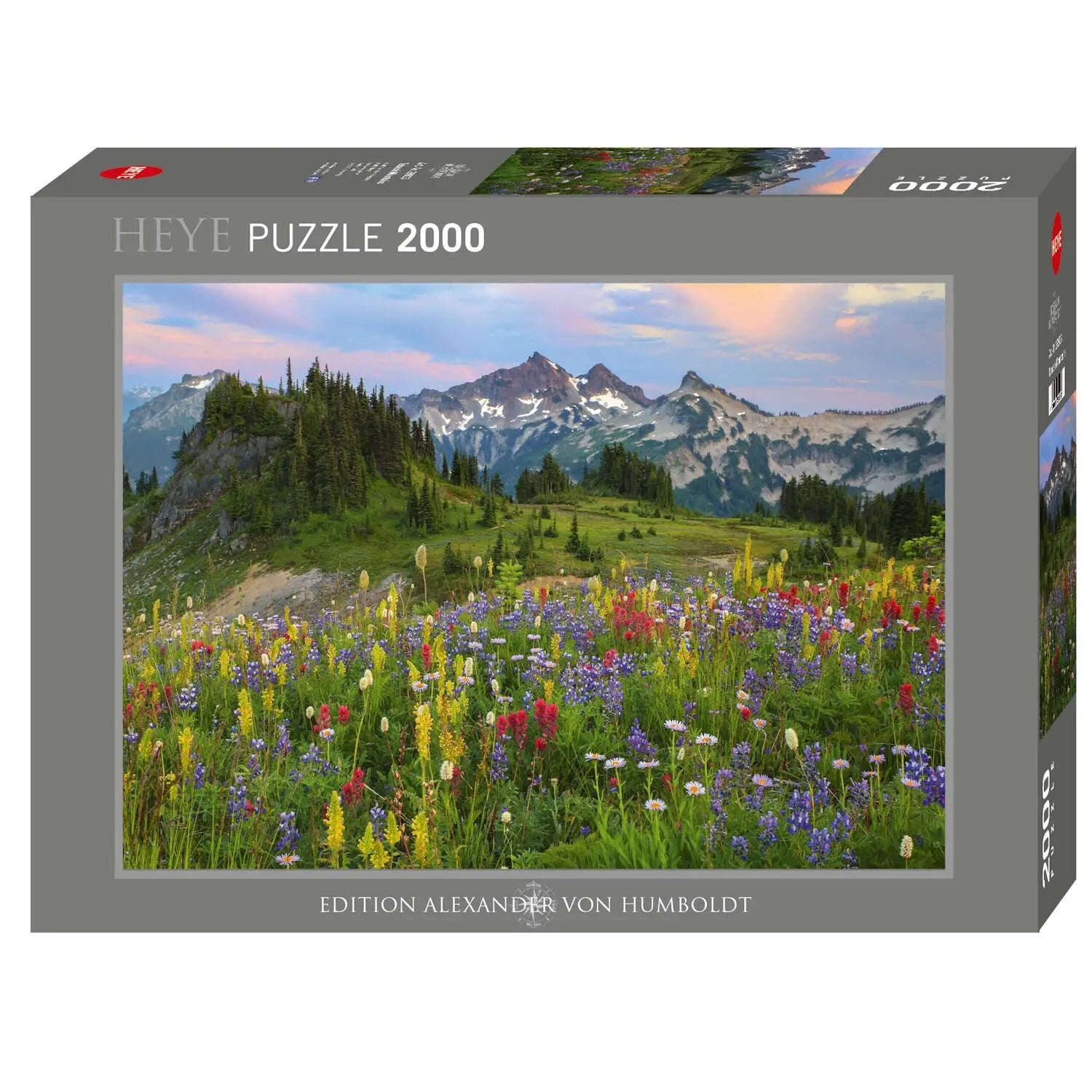 Tatoosh Mountains HEYE