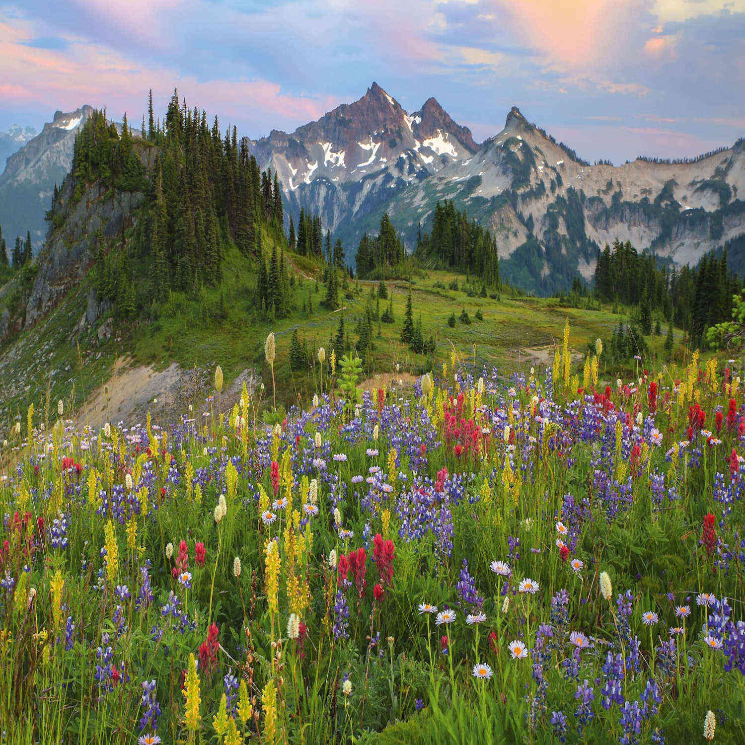 Tatoosh Mountains HEYE