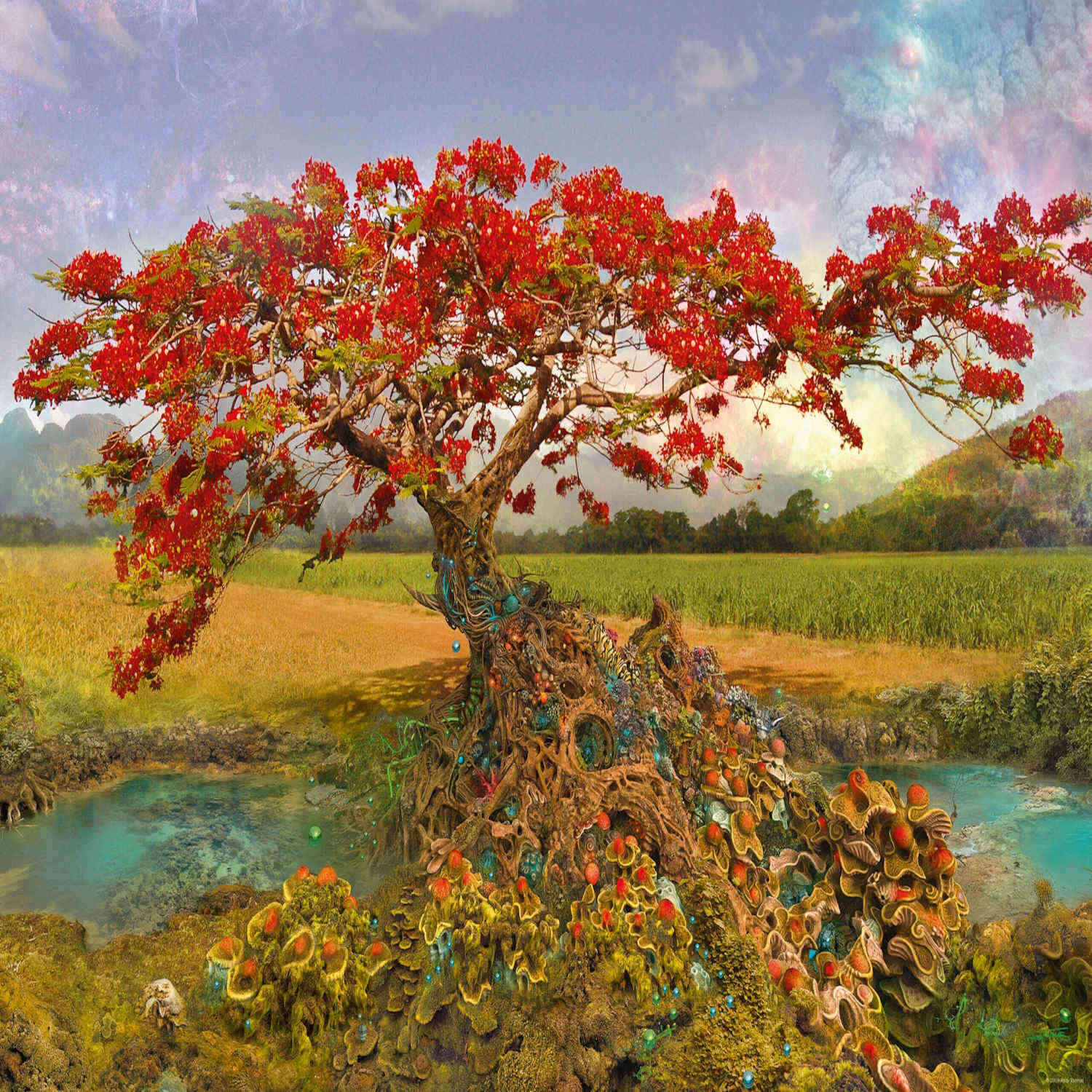 Strontium Tree HEYE