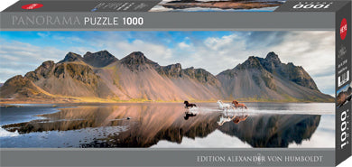Iceland Horses Panorama