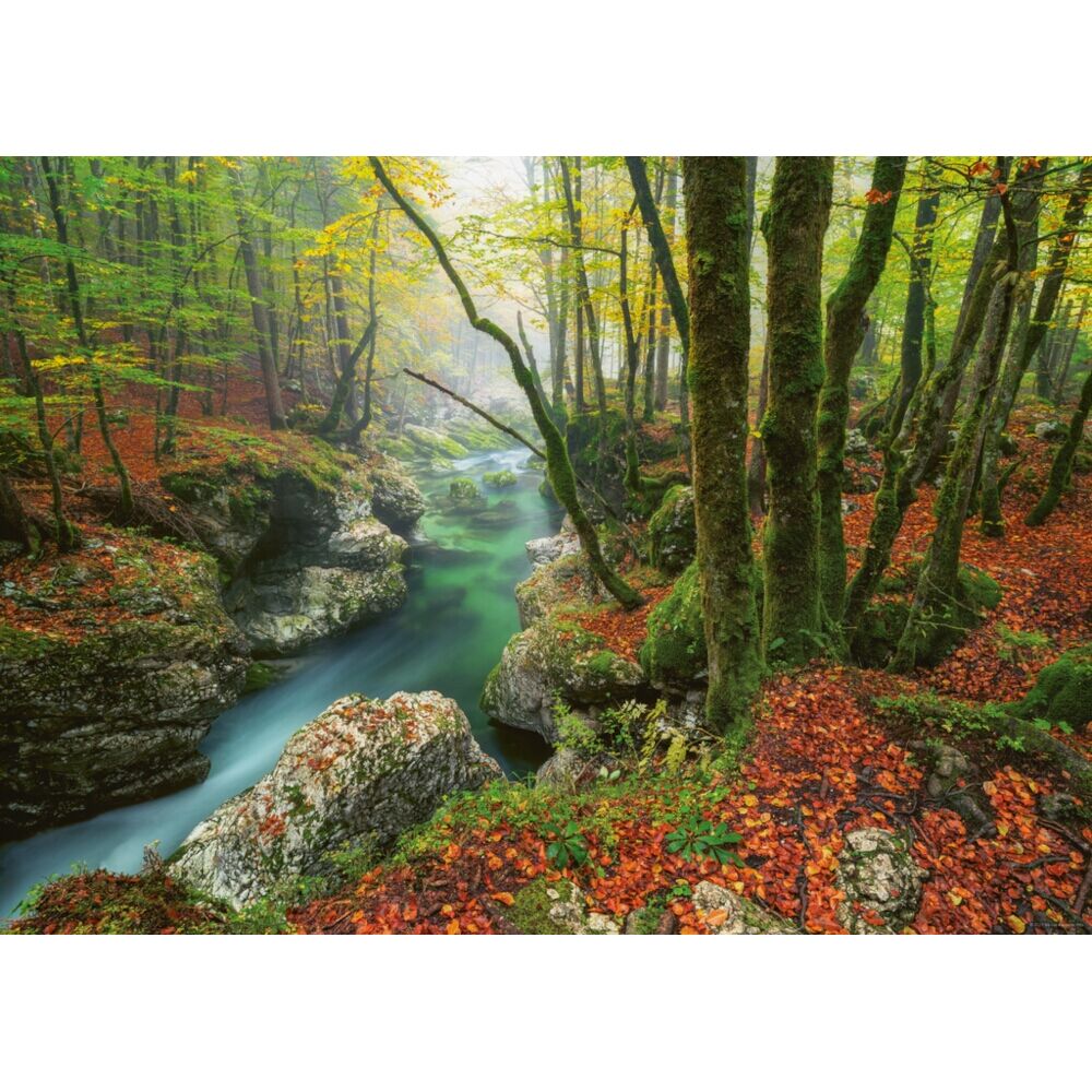 Little Brook / Magic Forests