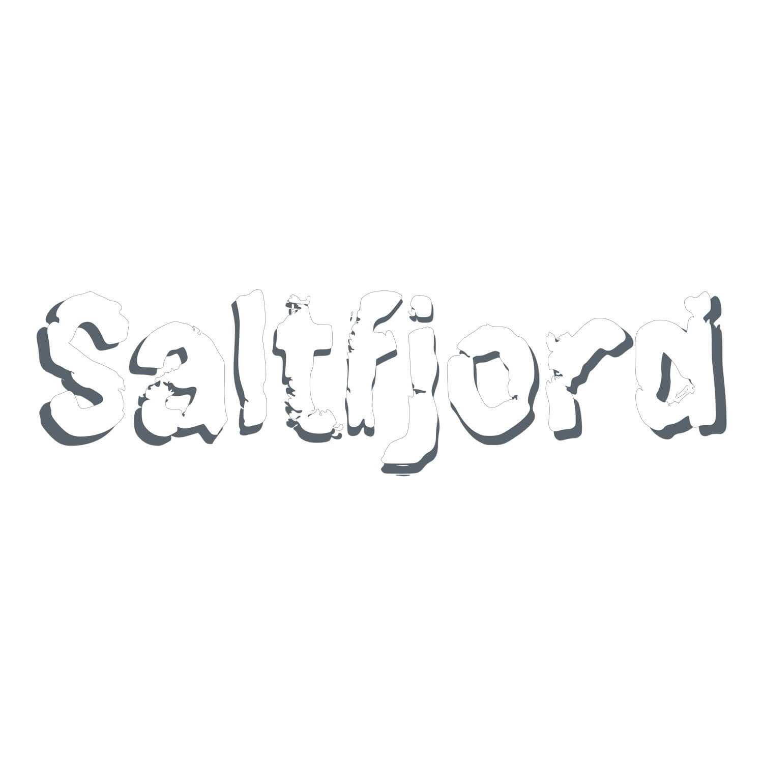 Saltfjord