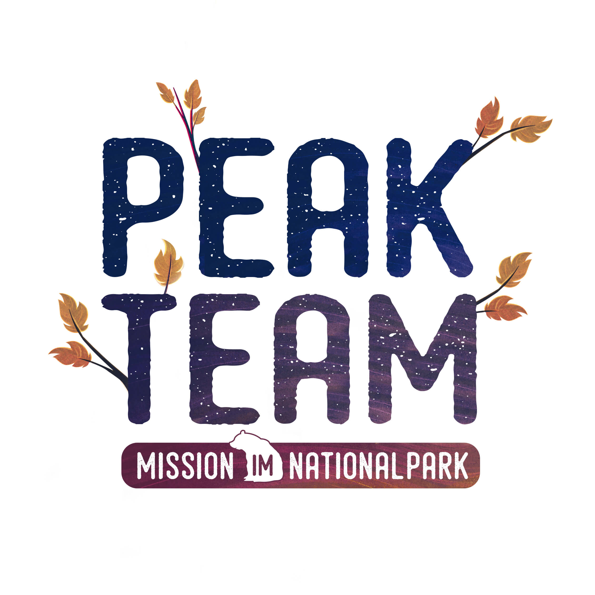 Peak Team