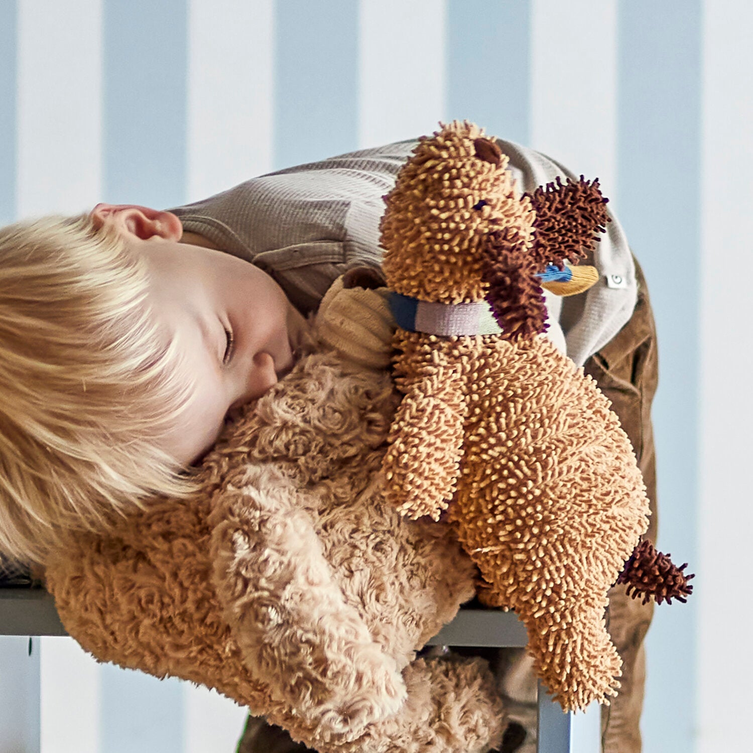 Braunes Plüschtier, von einem Kind gehalten, lockiges Fell und beiger Schnauzenflicken