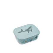 Lunchbox "Arthur" (Sea creature/Sandy)