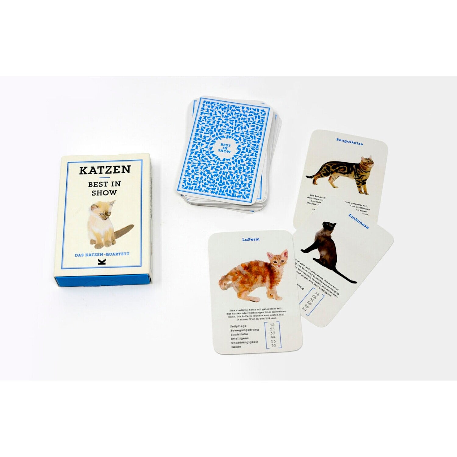 Katzen. Best in Show