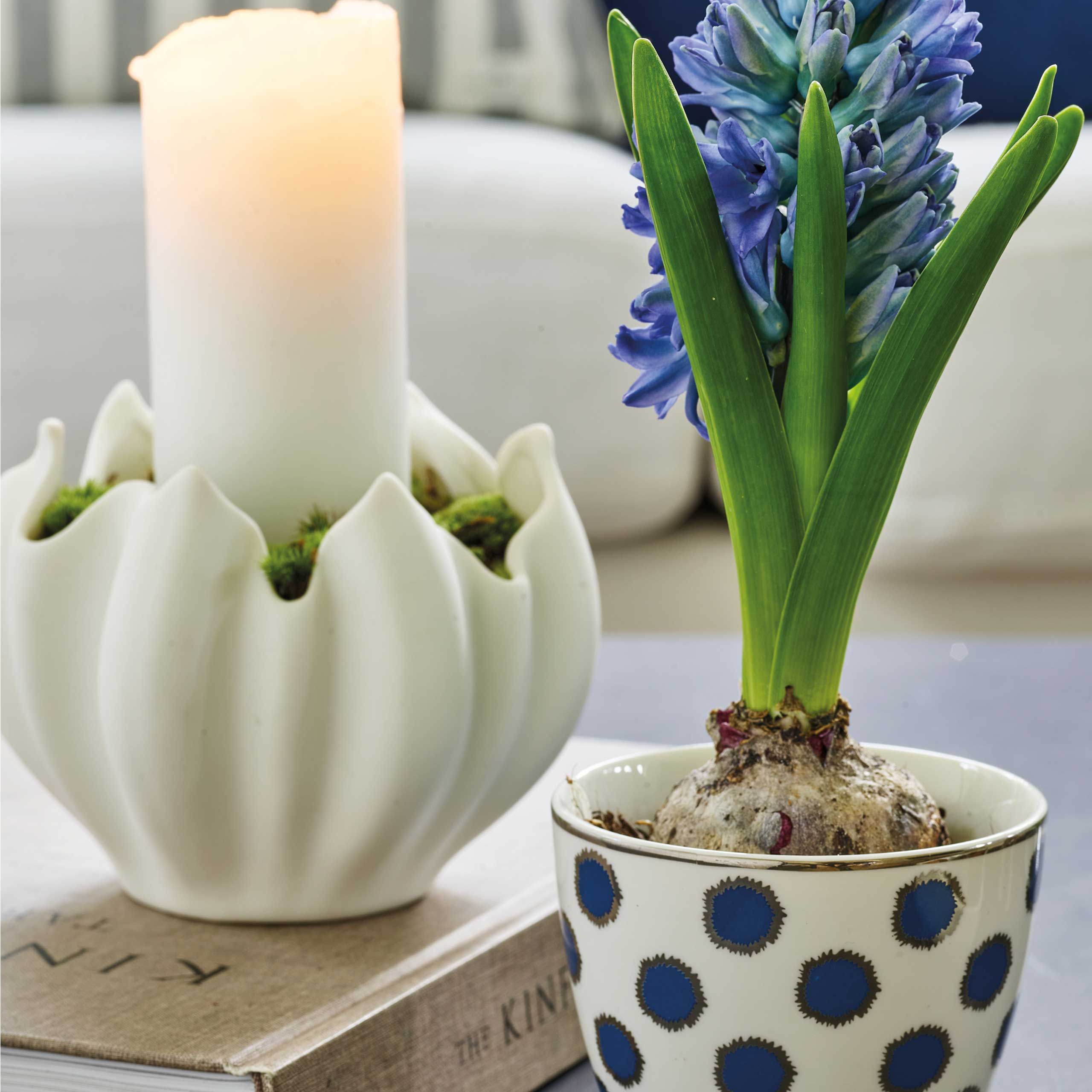 French bowl "Savannah" - M (White)