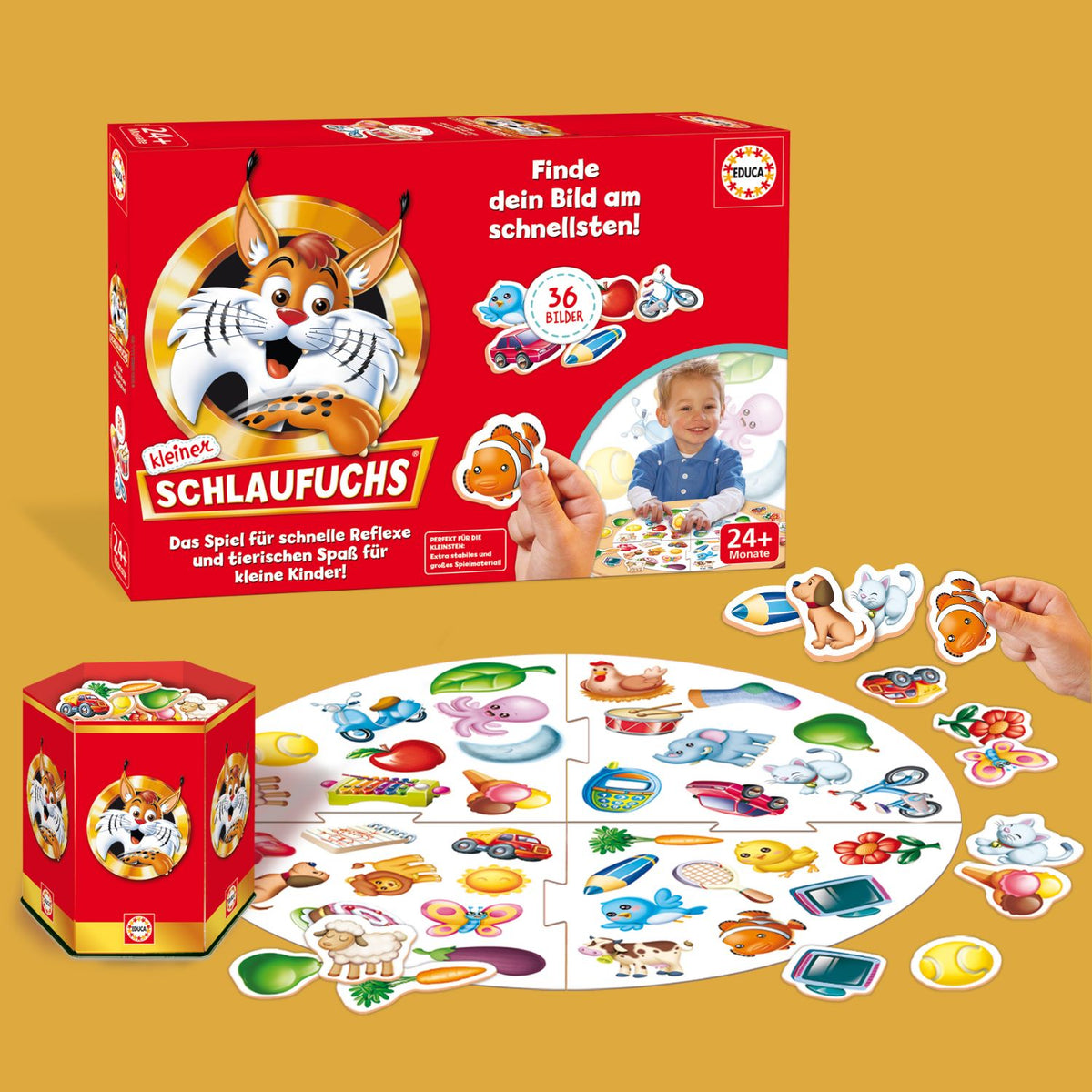 Kleiner Schlaufuchs