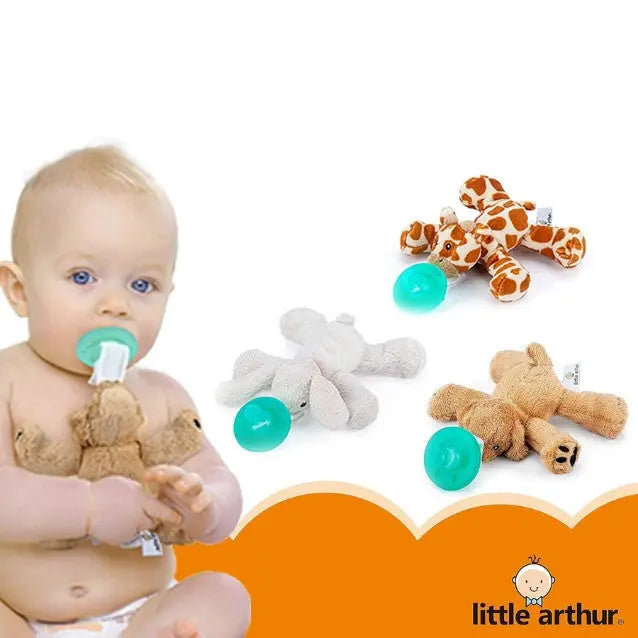 Schnuller im 2er-Set Little Arthur