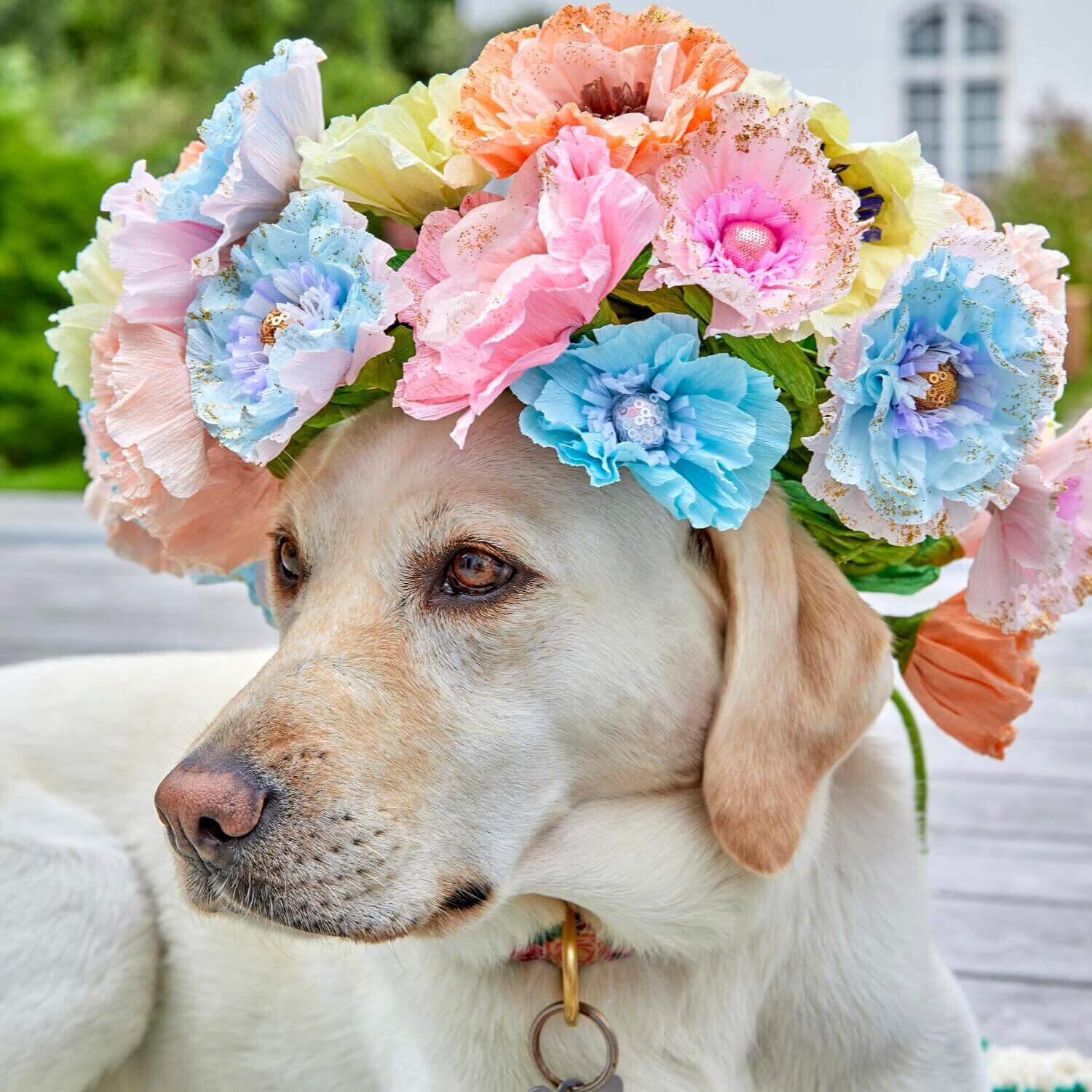 Kunstblumen aus Seidenpapier im 6er-Set - Groß (Bunt) Rice