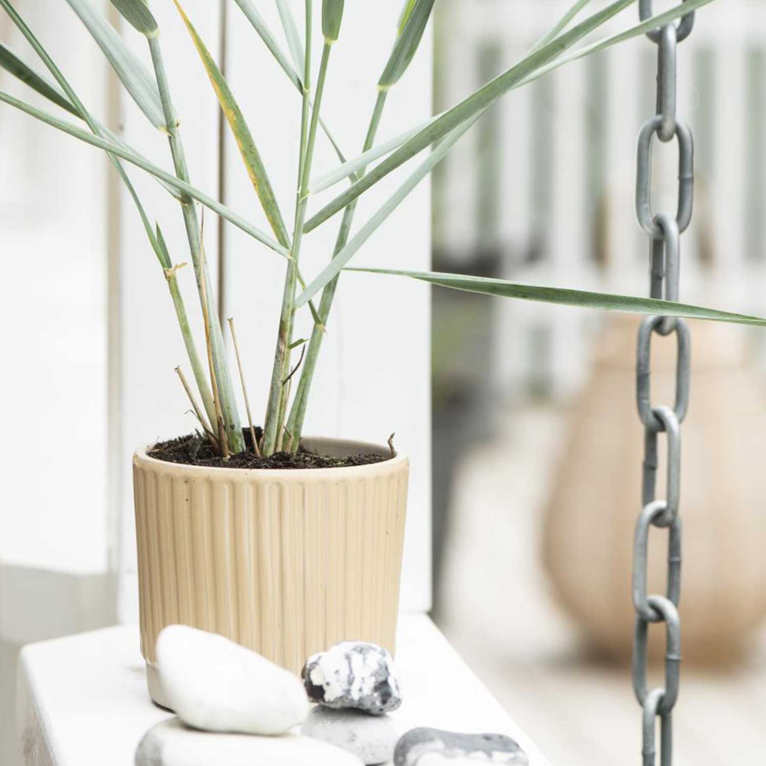 Blumentopf mit Rillen - ø  11 cm (Sand)