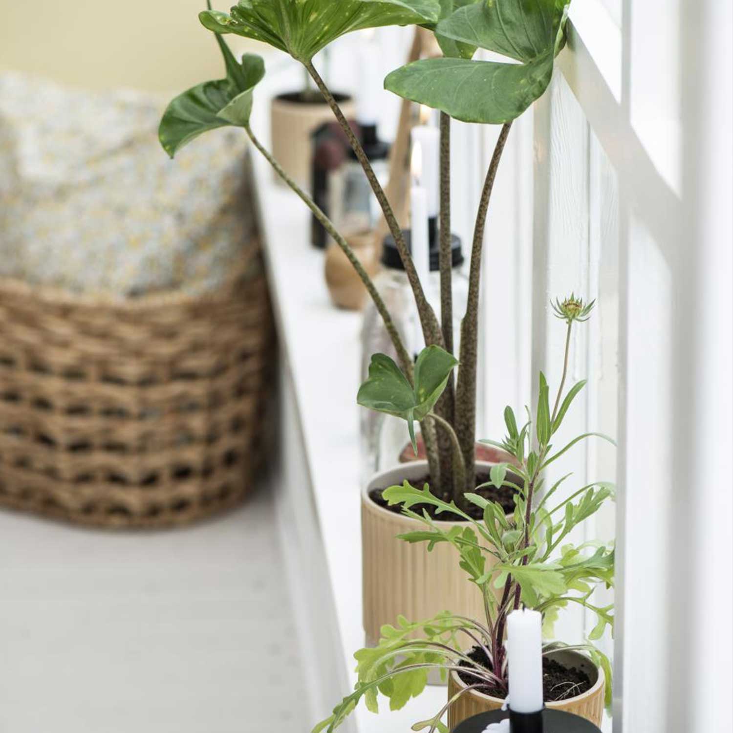 Blumentopf mit Rillen - ø  11 cm (Sand)