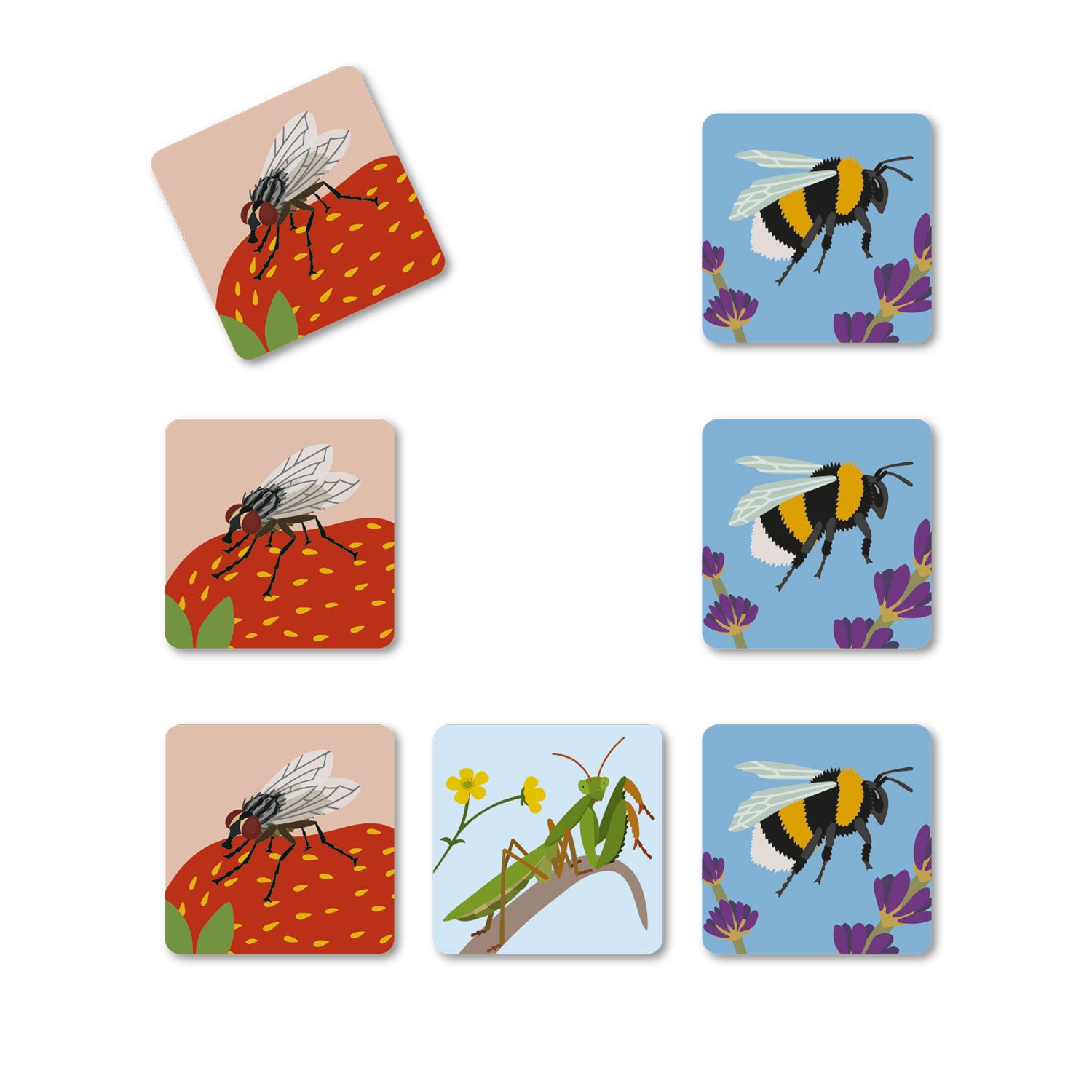 Bugs Buddy