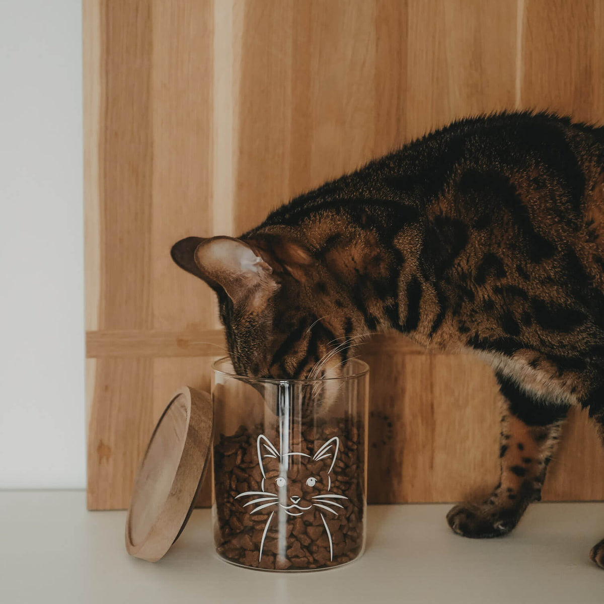 Vorratsglas "Katze" - 13 cm