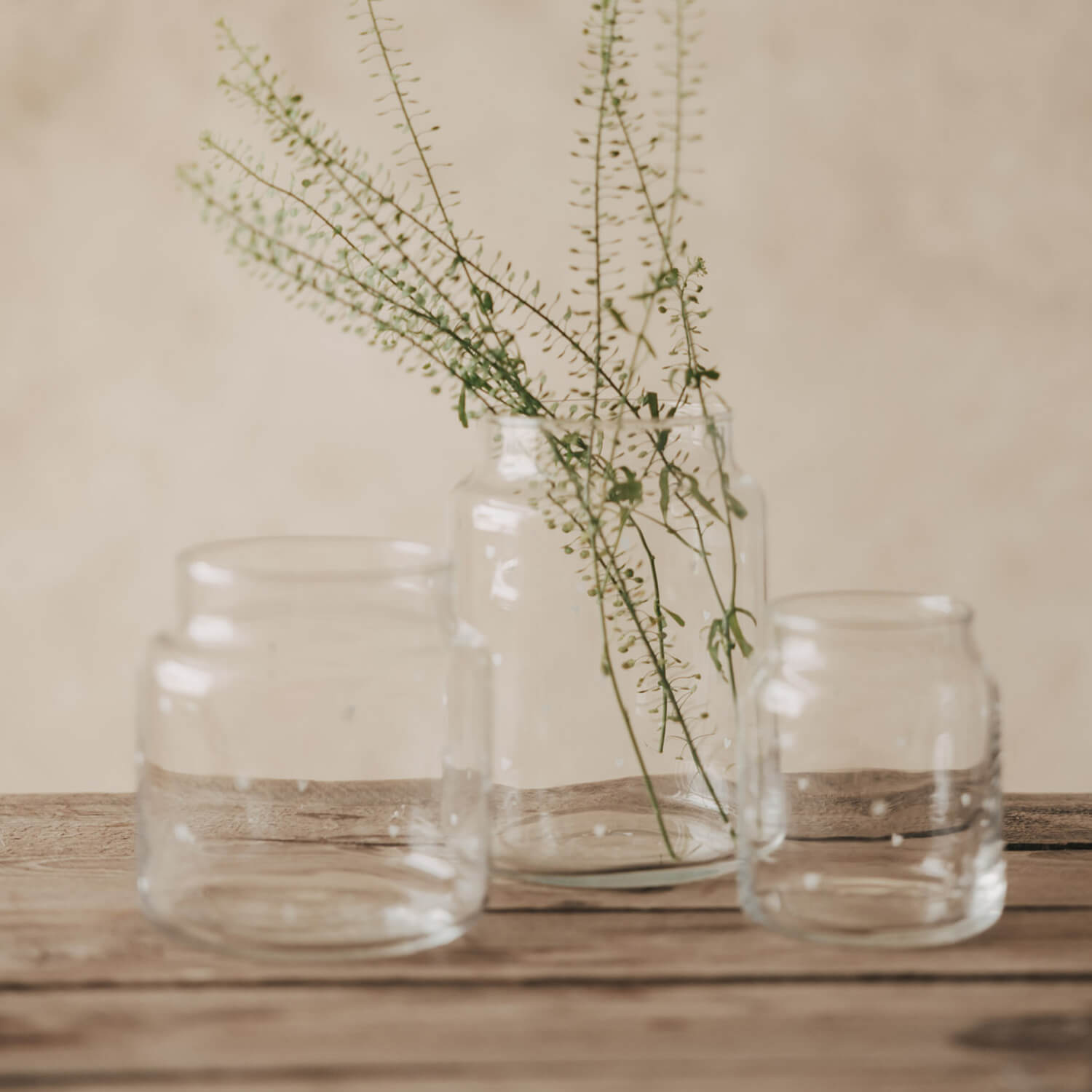 Kleine transparente Glasvase mit schmalem Hals, gefüllt mit Zweigen