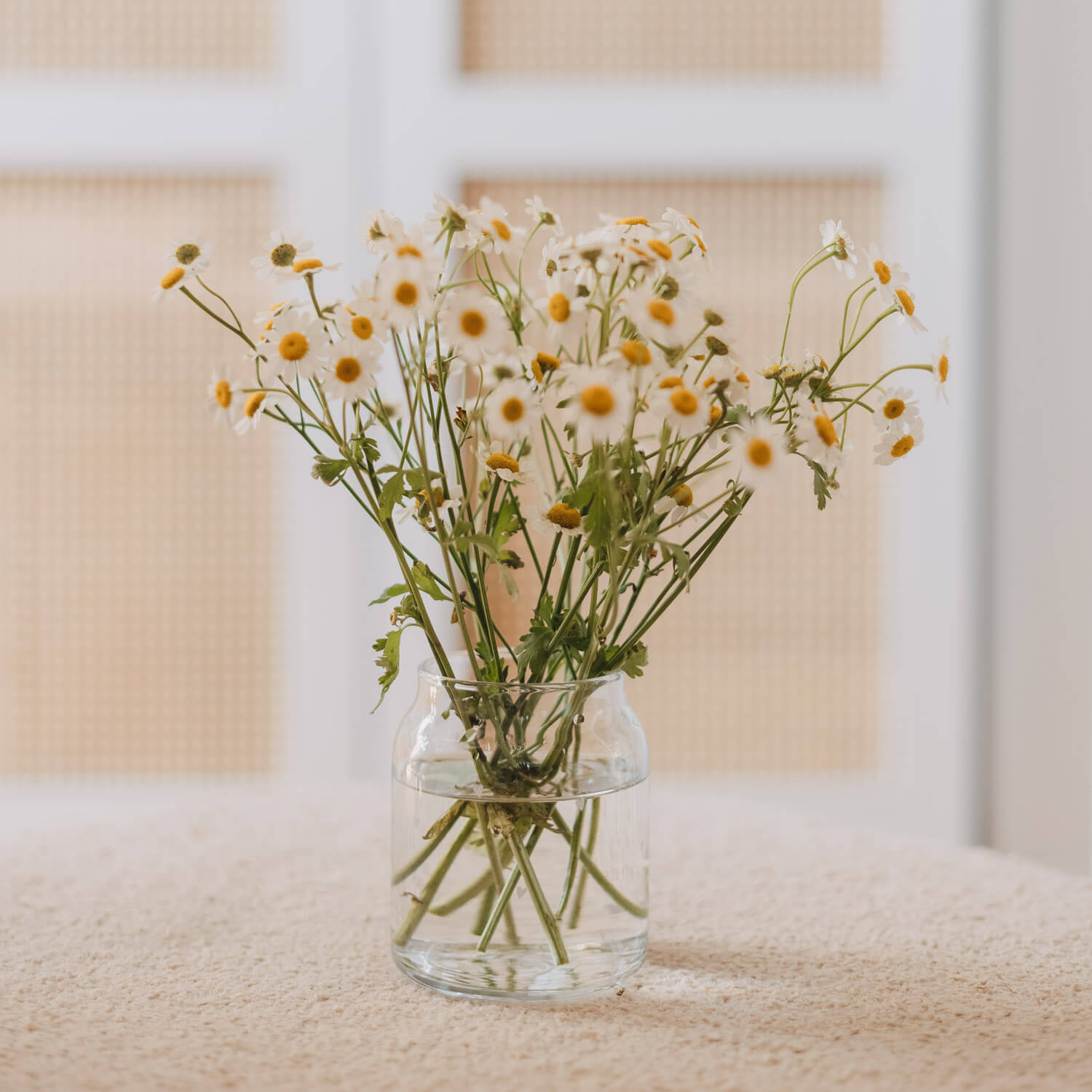 Kleine transparente Glasvase mit Blumenstrauß, gebundene Stiele