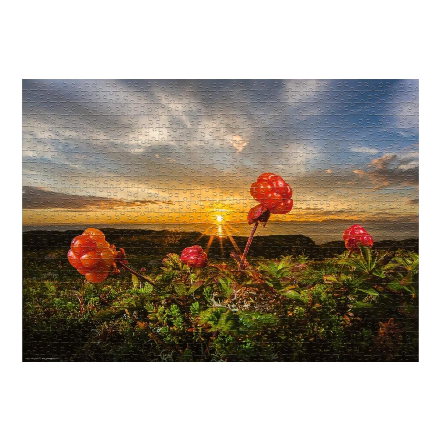 Cloudberries