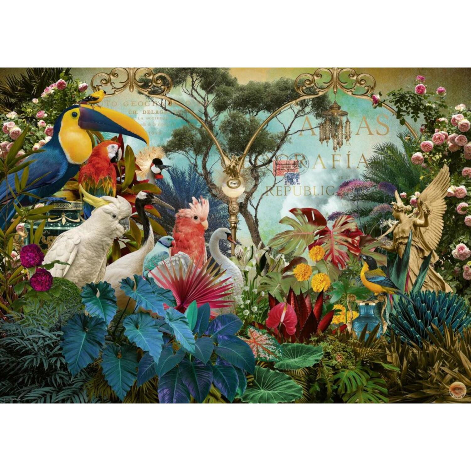 Birdversity / Fauna Fantasies