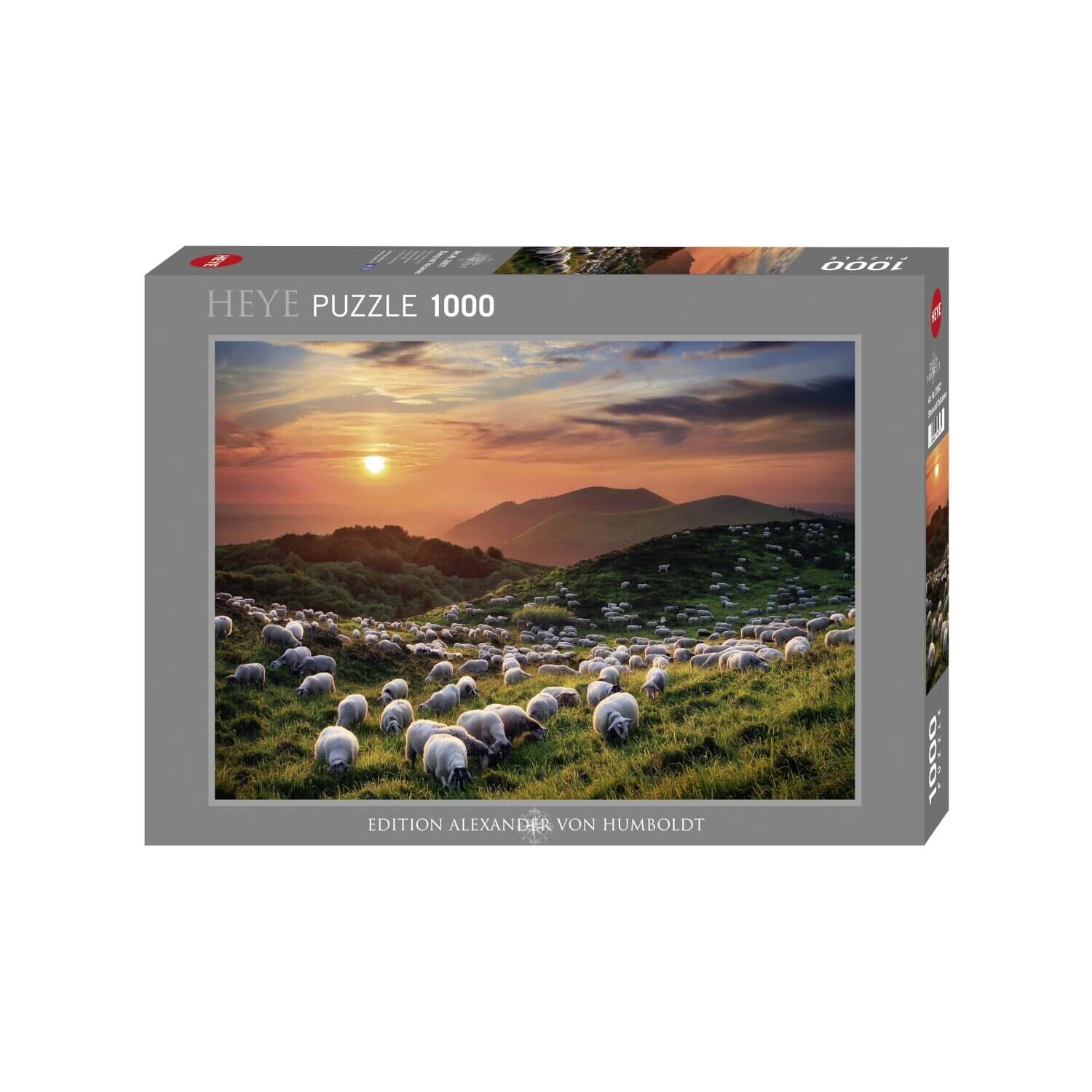 Sheep and Volcanoes
