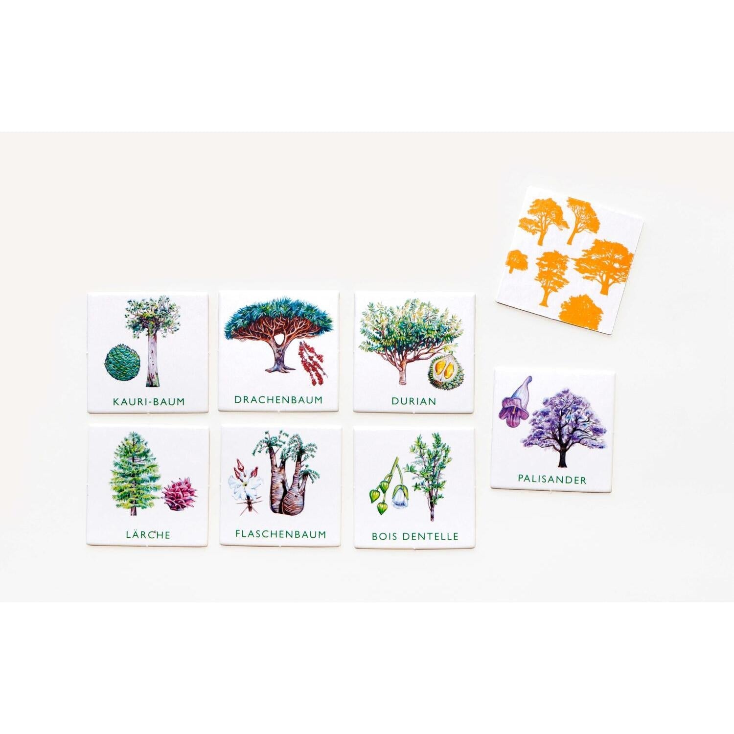 Gesellschaftsspiel "Baum-Bingo" von Laurence King