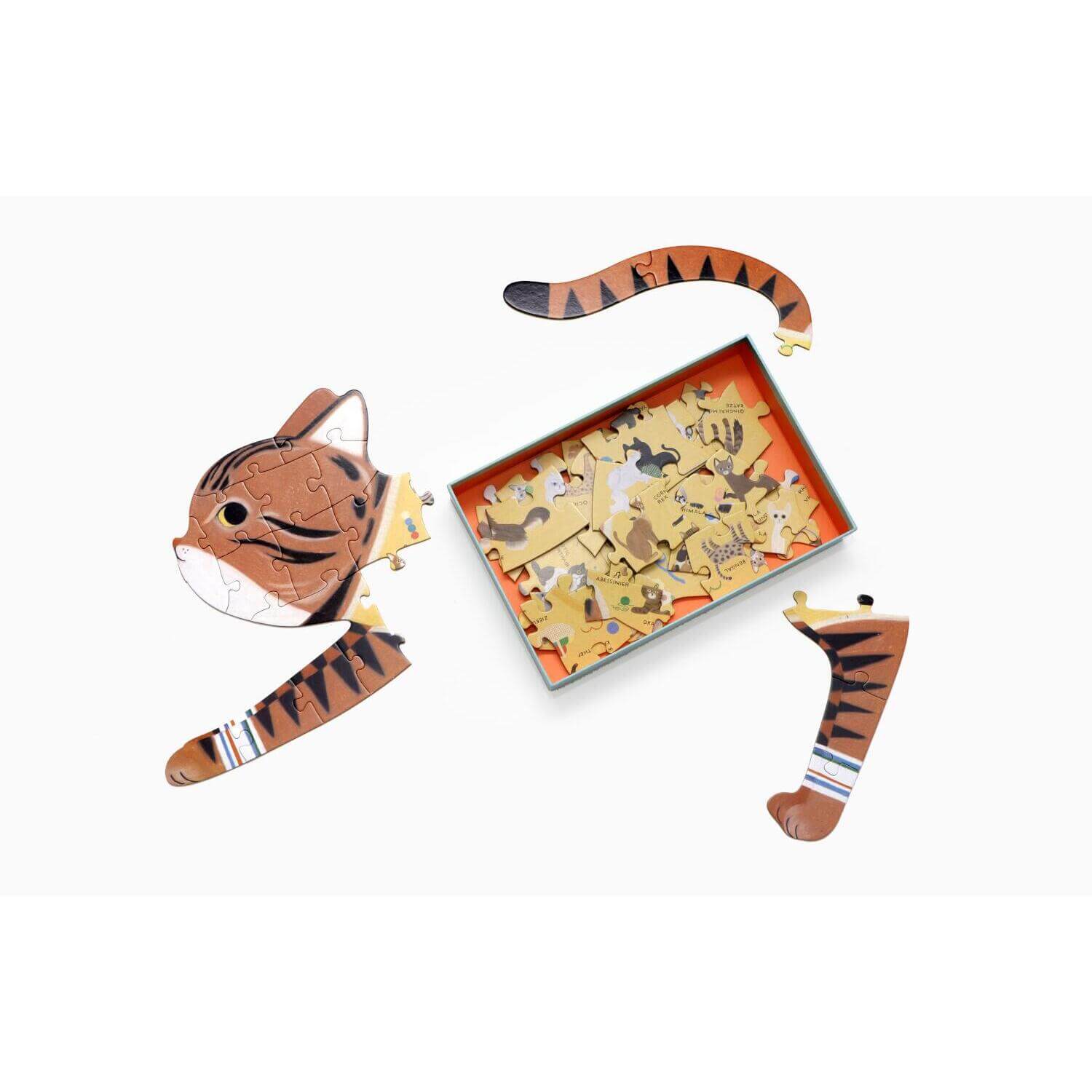 Katzen von A bis Z