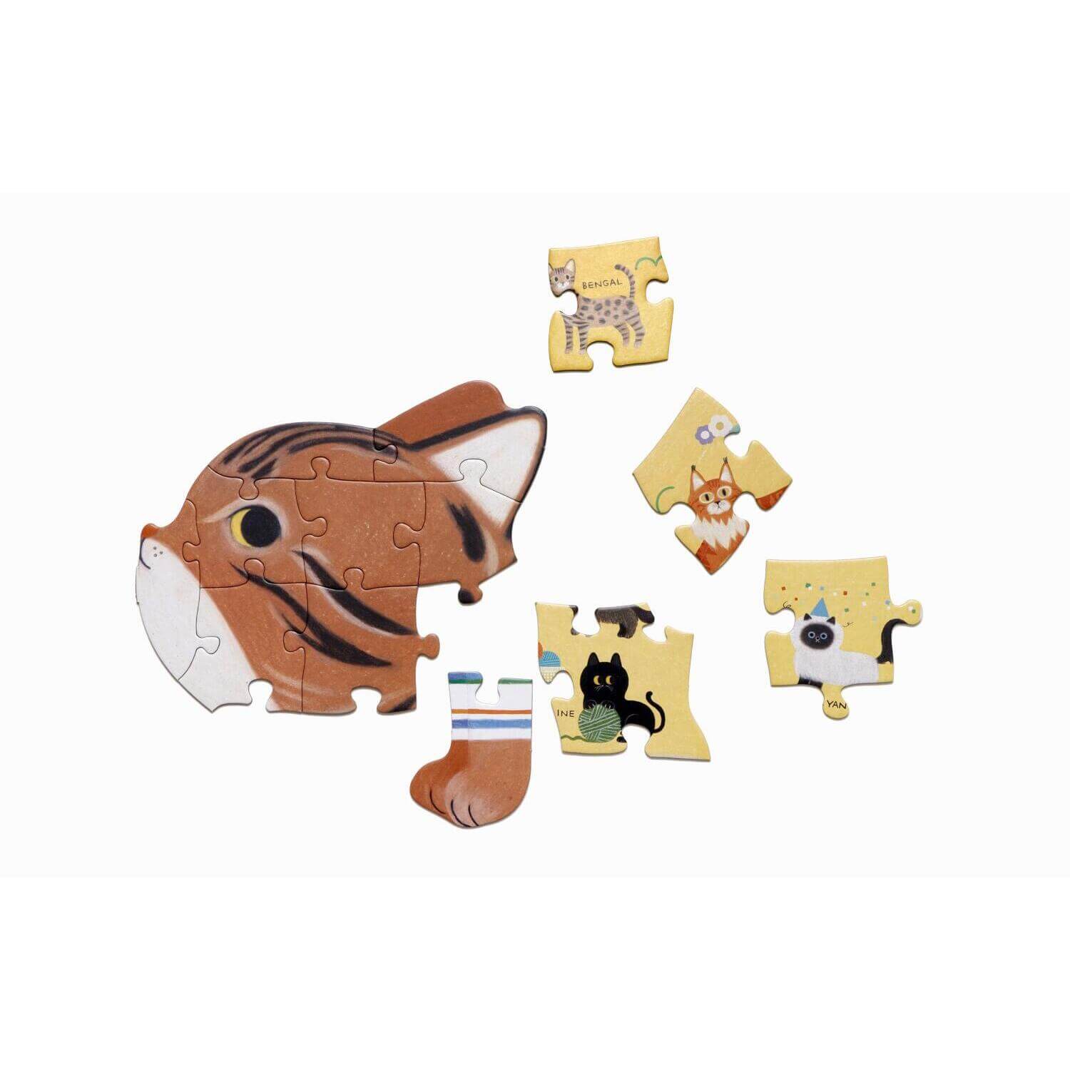 Katzen von A bis Z