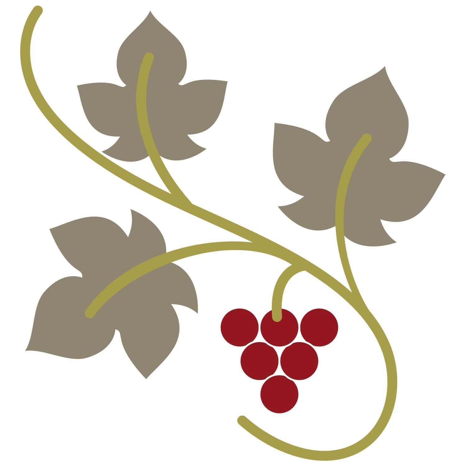Welt der Weine