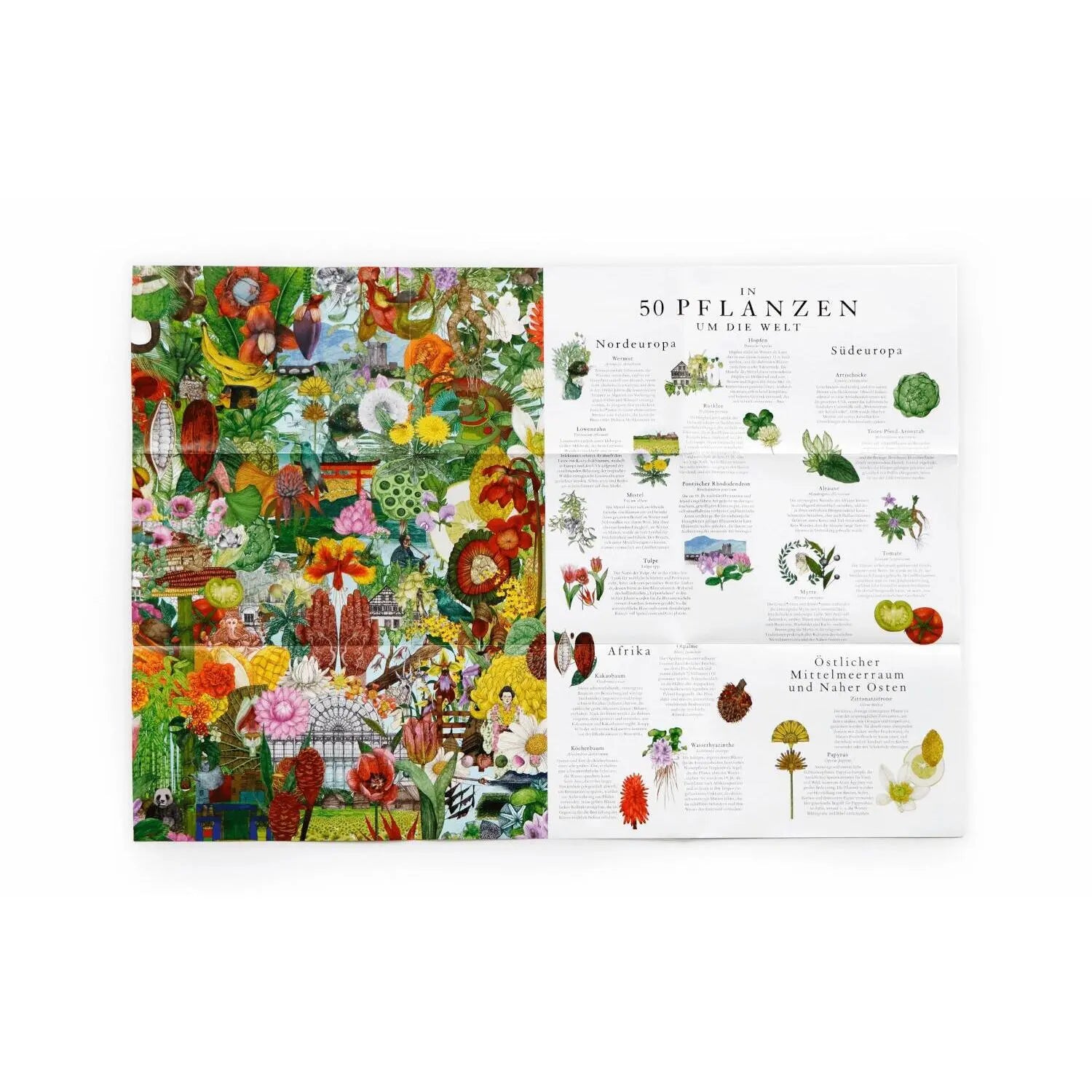 In 50 Pflanzen um die Welt